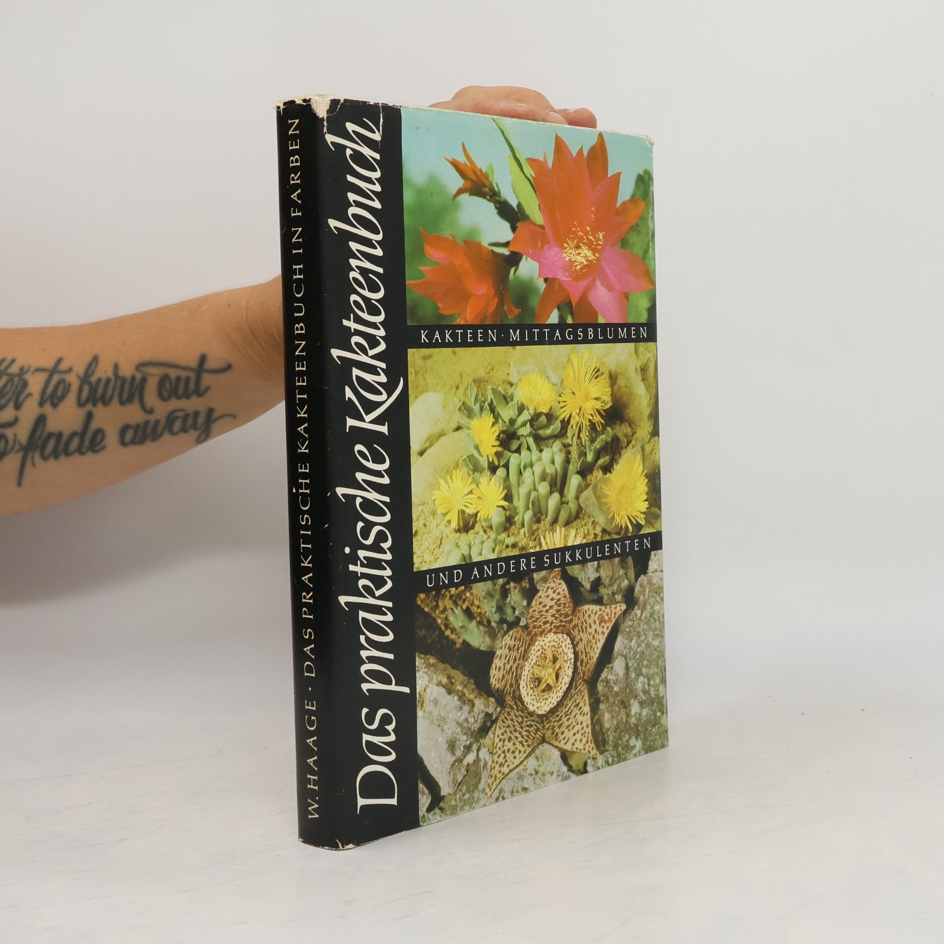 W. Haage Das praktische Kakteenbuch