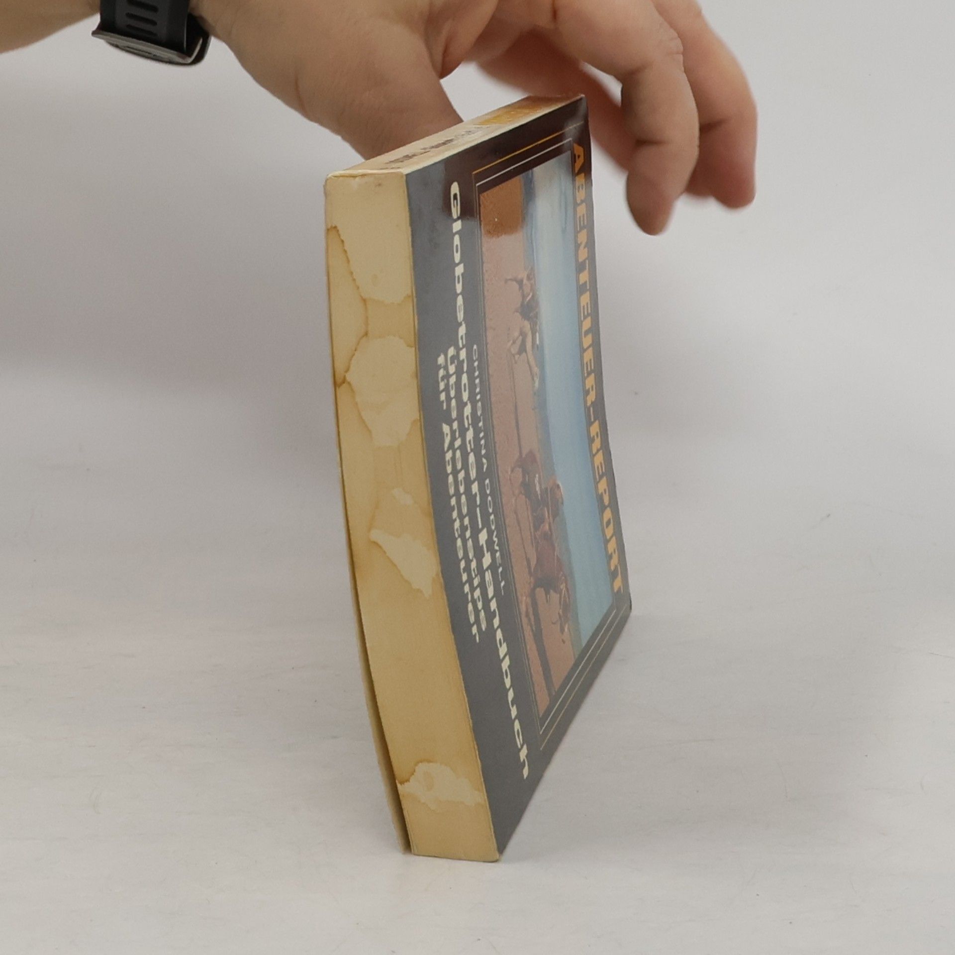 Christina Dodwell Globetrotter-Handbuch