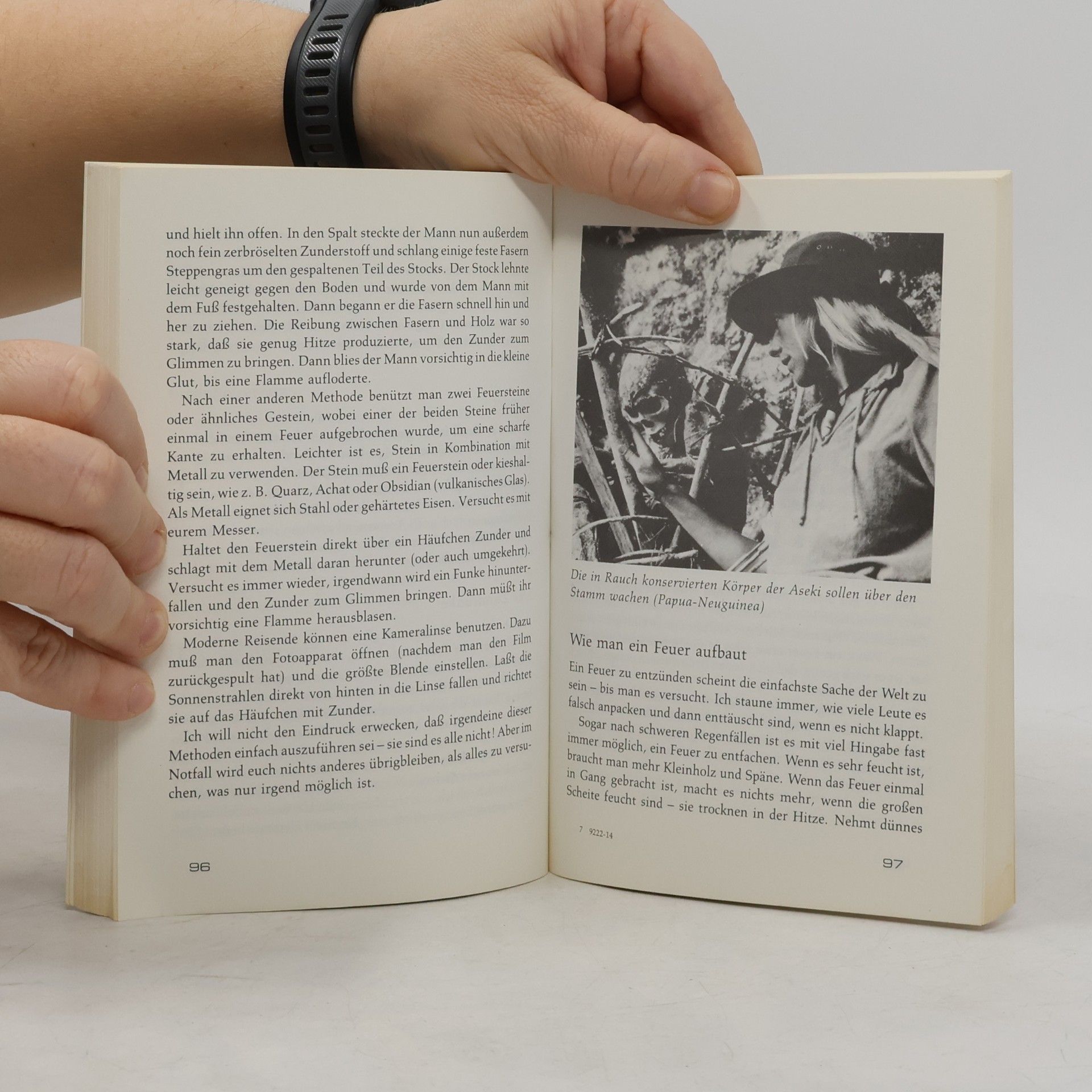 Christina Dodwell Globetrotter-Handbuch