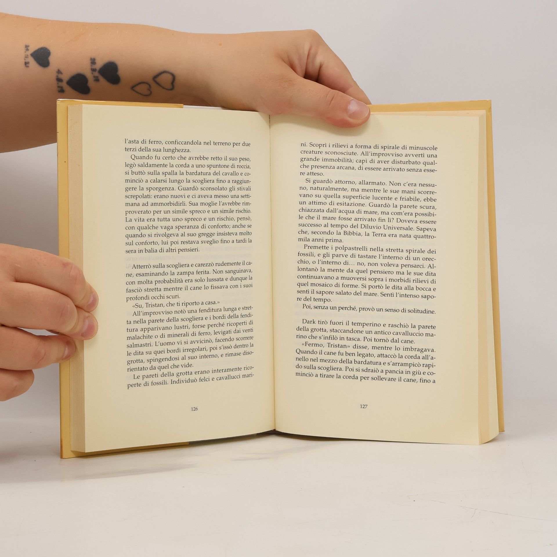 Jeanette Winterson Il custode del faro