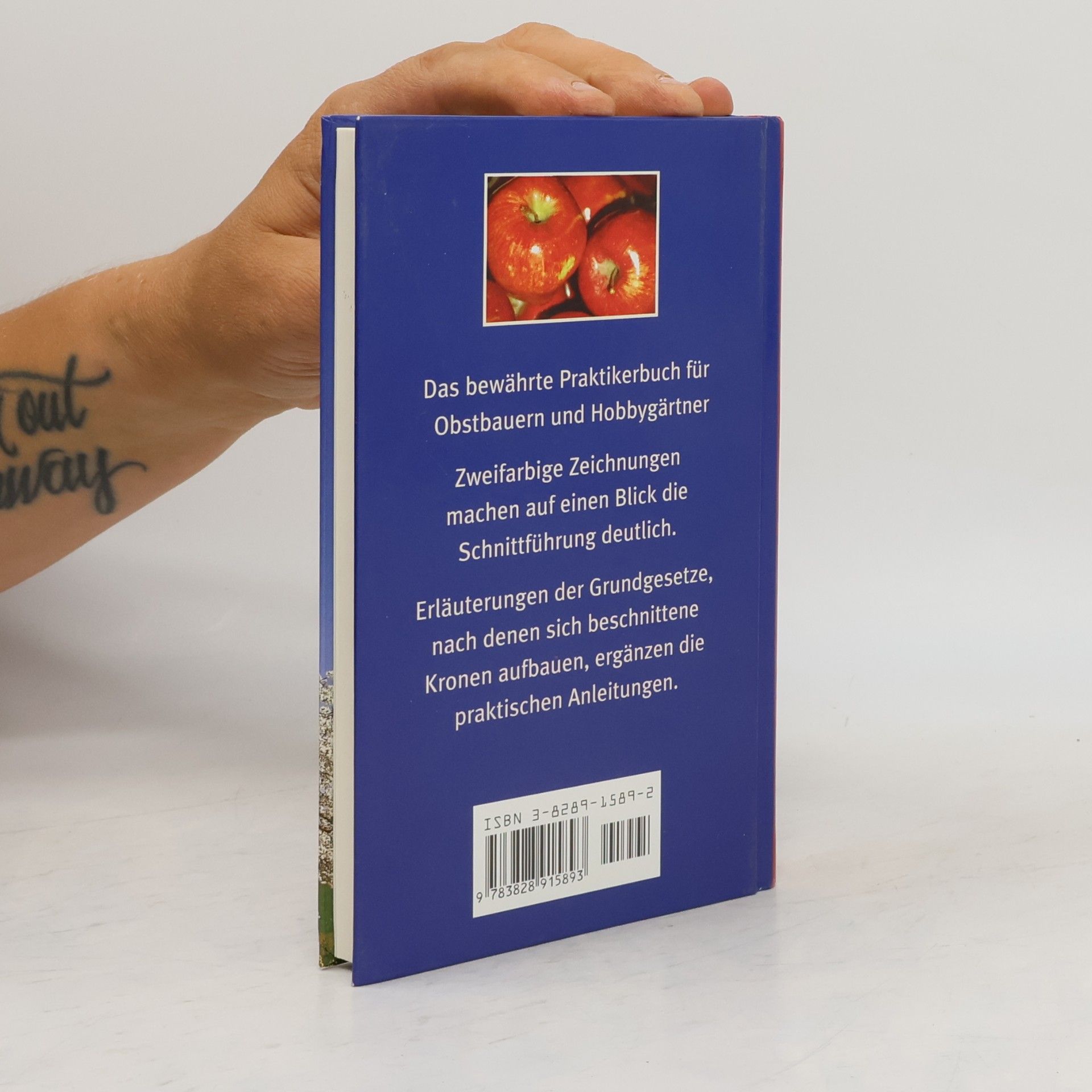 Autorenkollektiv Schnitt der Obstgehölze