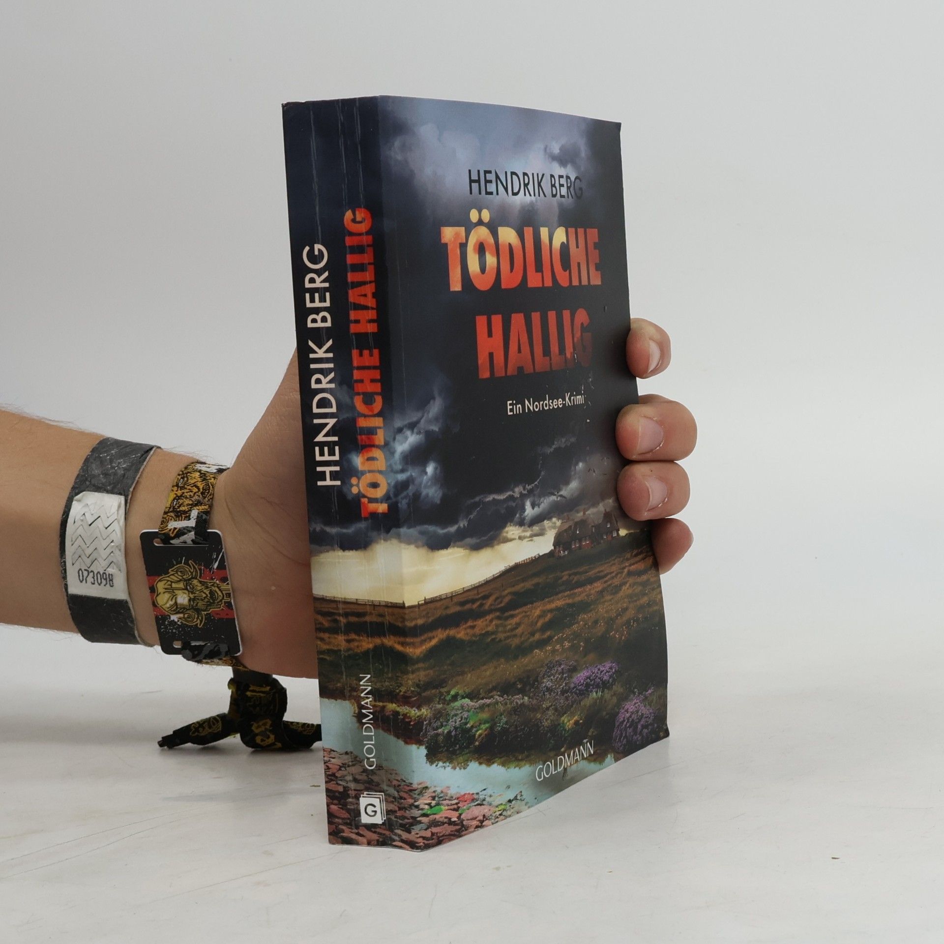 Hendrik Berg Ein Fall für Theo Krumme - 12: Tödliche Hallig