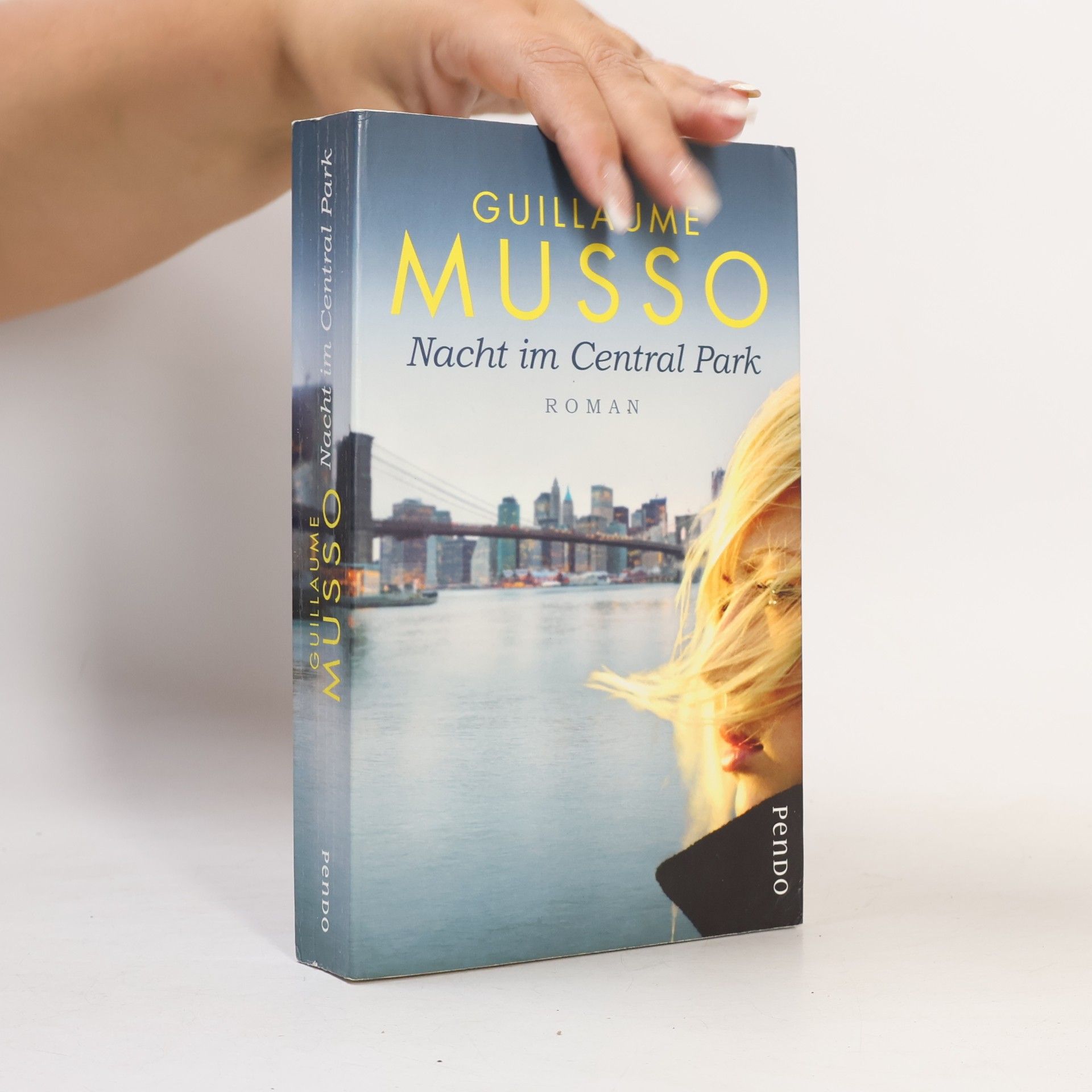 Guillaume Musso Nacht im Central Park