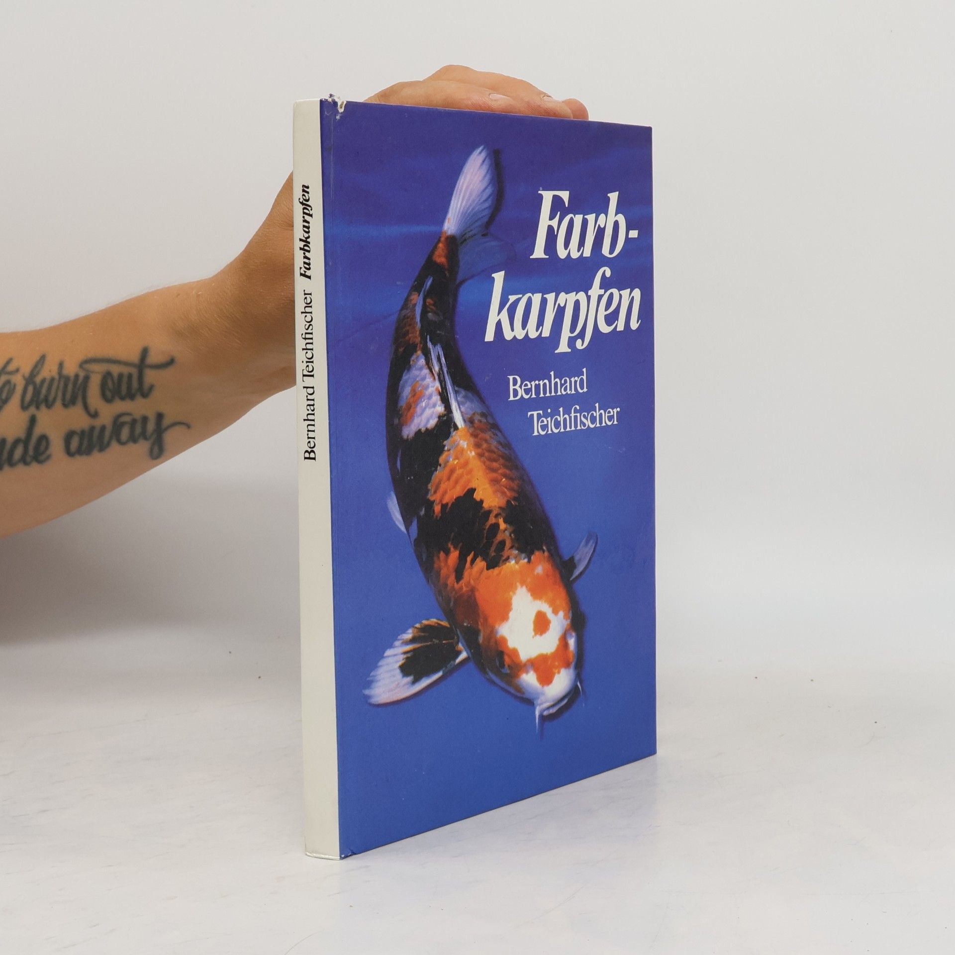 Bernhard Teichfischer Farb-karpfen