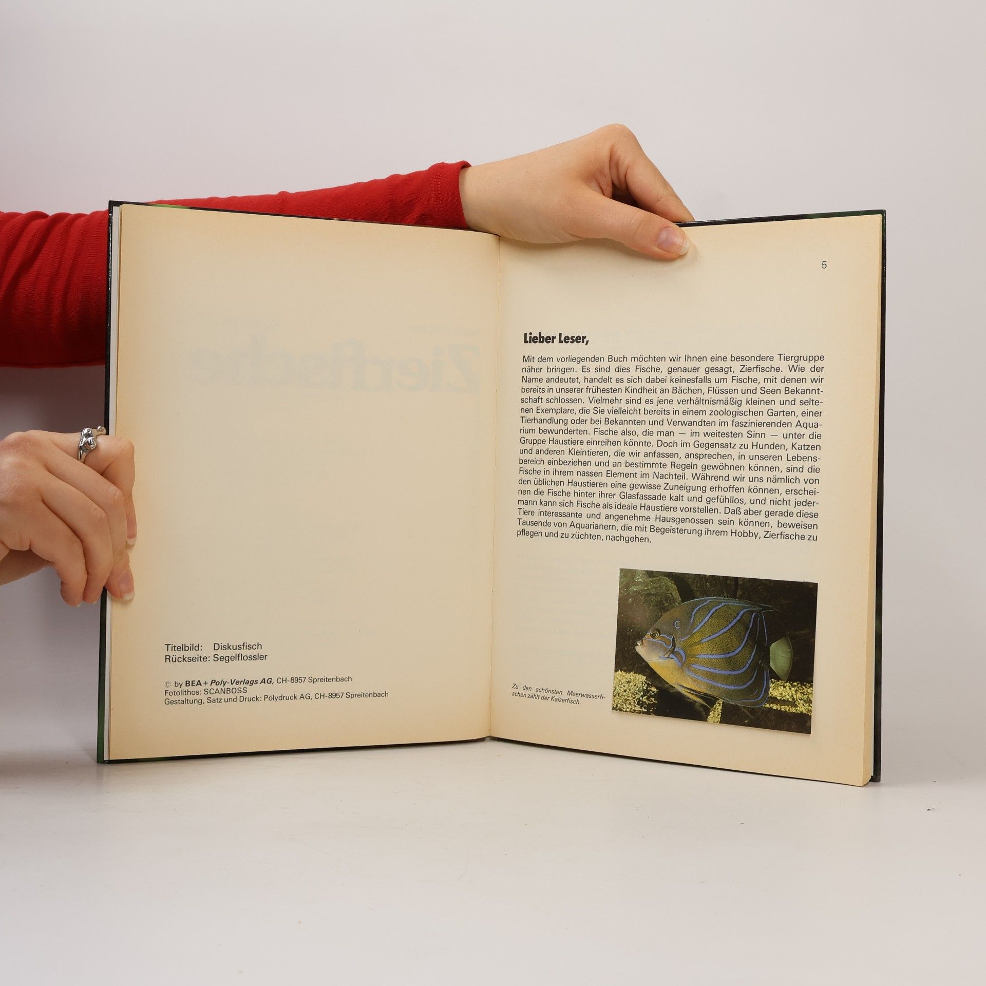 Bruno Schlatter Zierfische