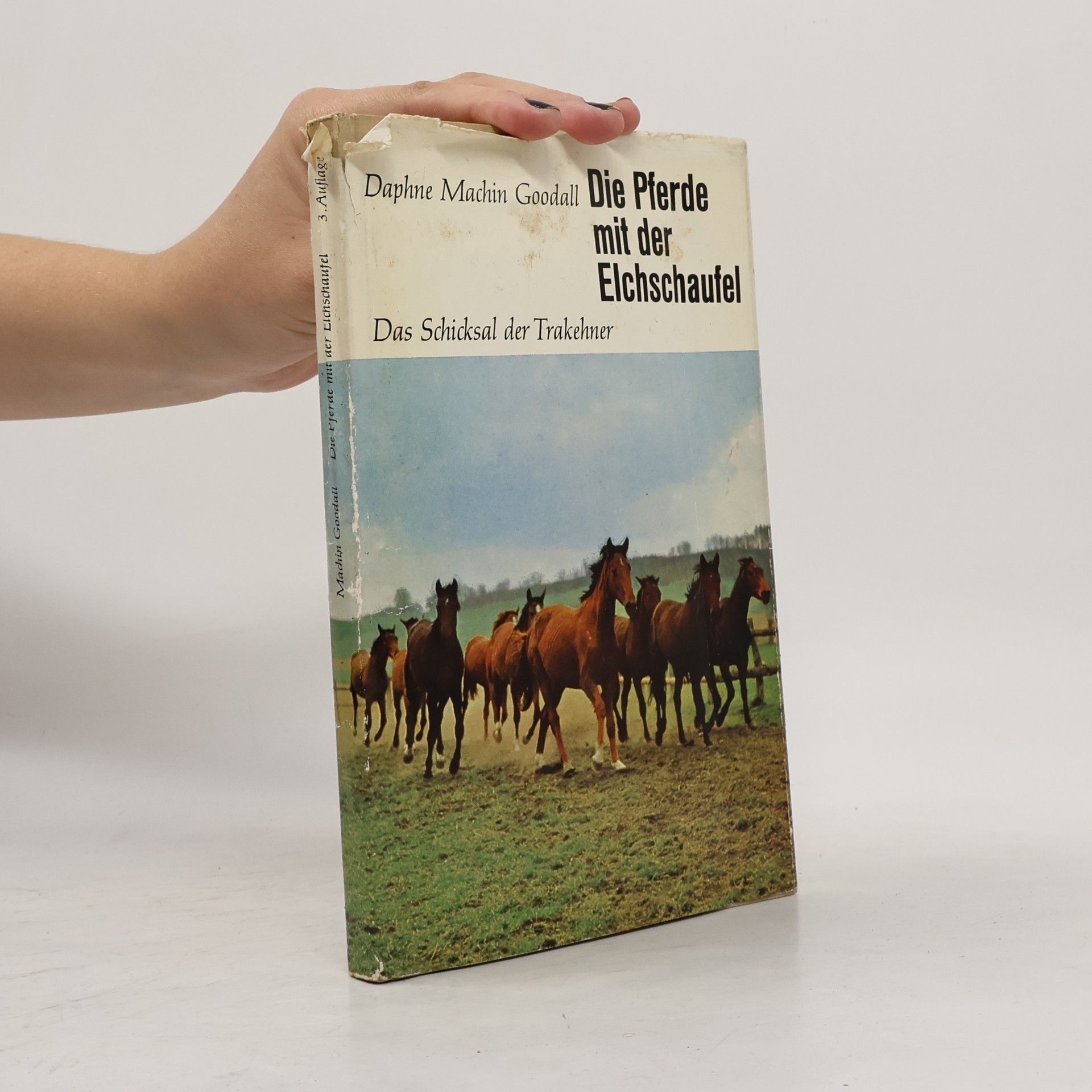 Daphne Machin Goodall Die Pferge mit der Elchschaufel