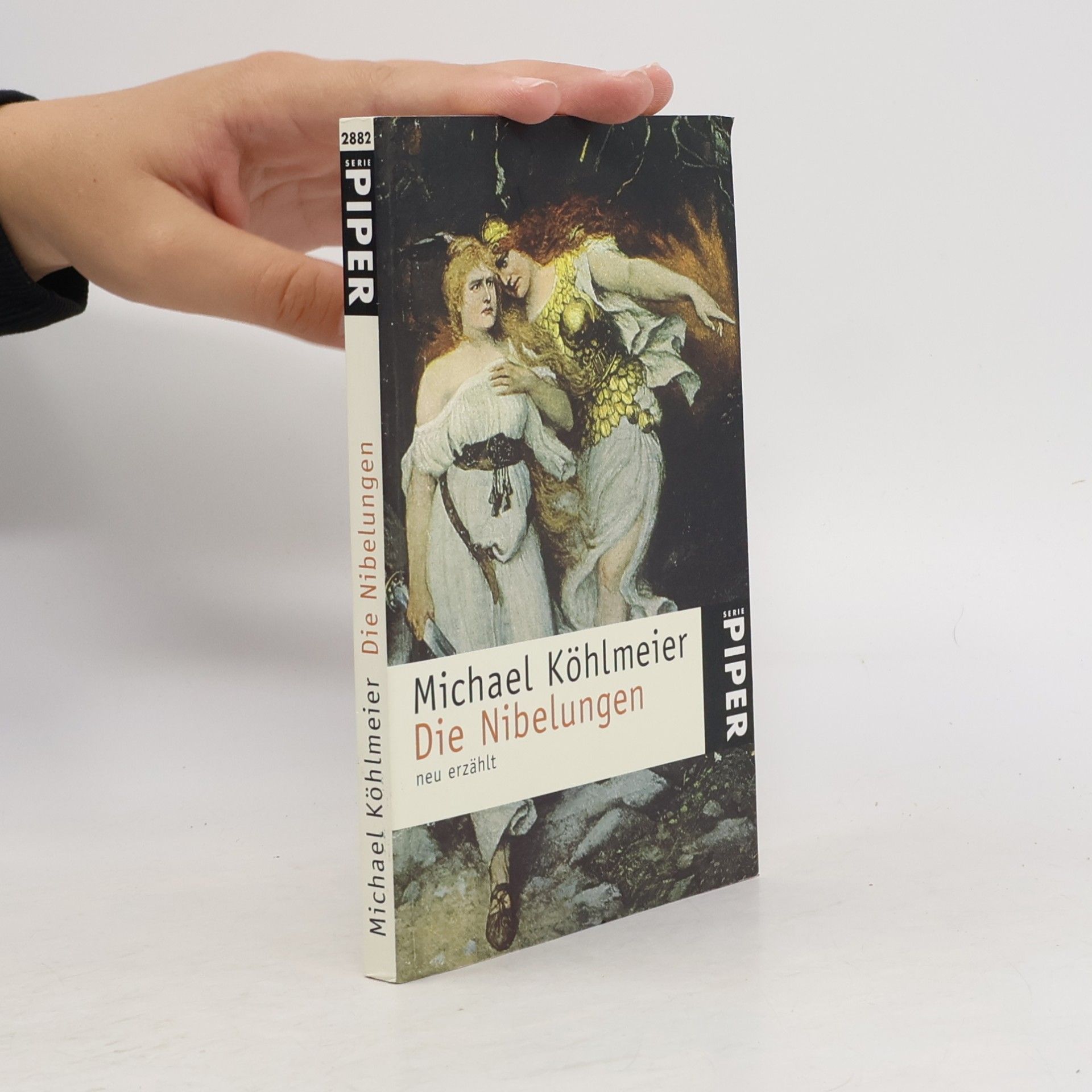 Die Nibelungen neu erzählt