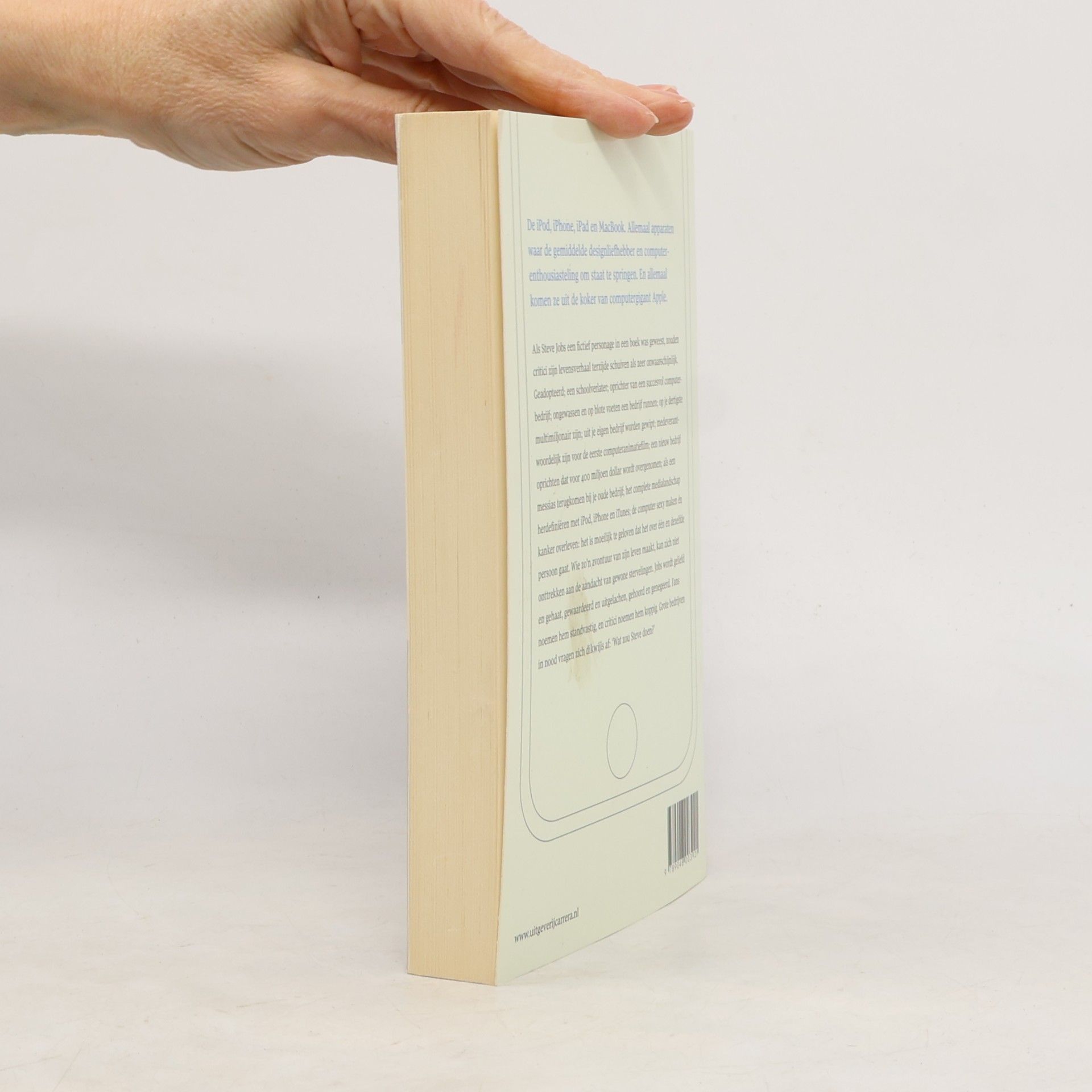 Borgman, Richard Hoe Steve Jobs en Apple de wereld veranderden