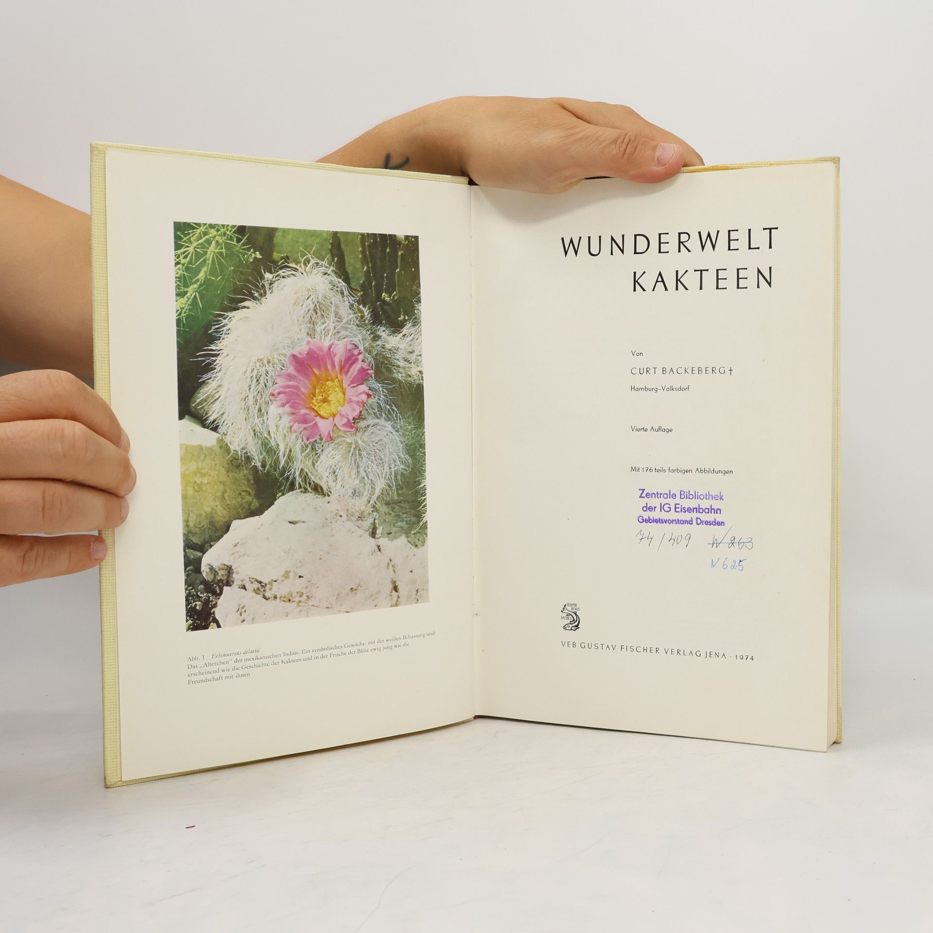 Curt Backeberg Wunderwelt Kakteen