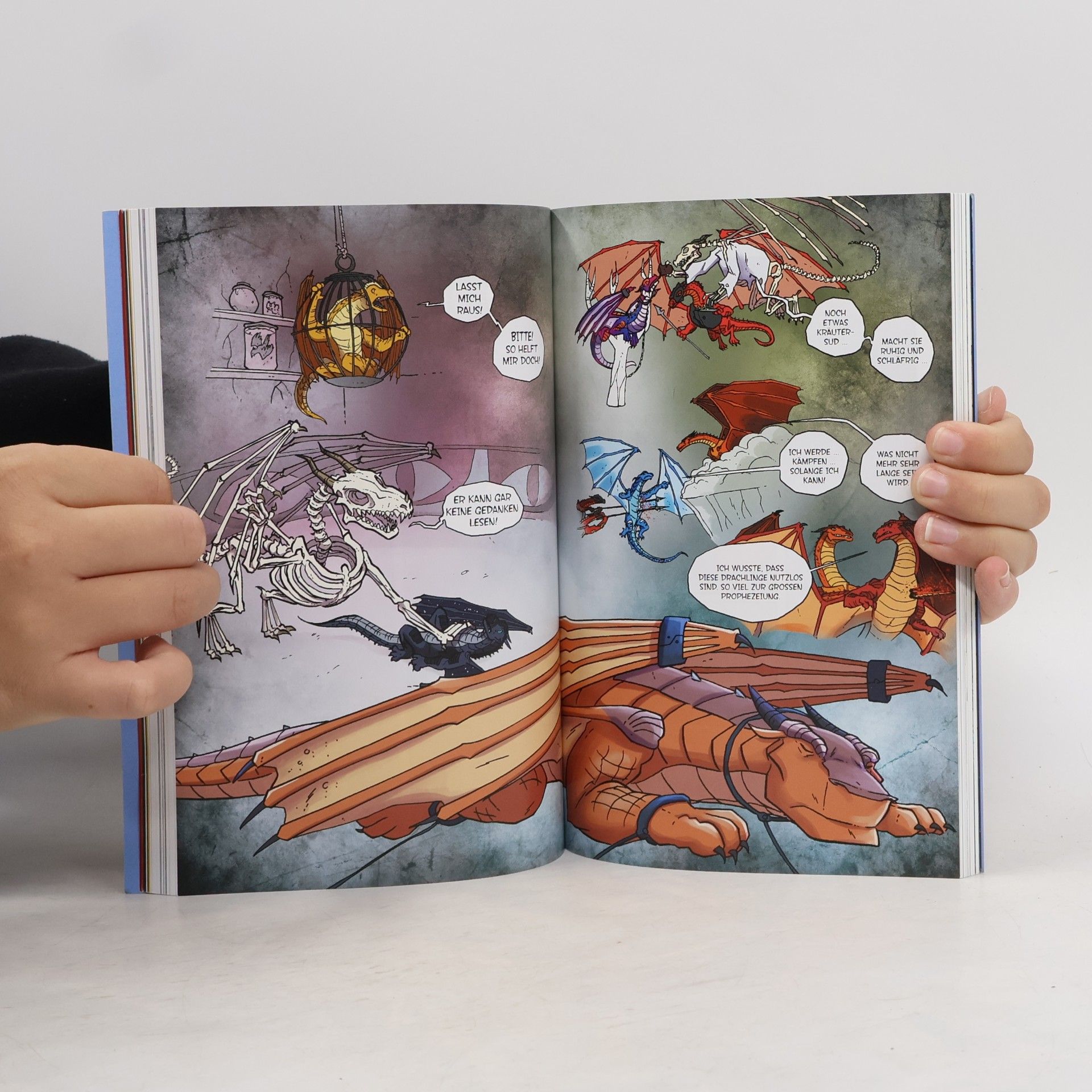 Tui T. Sutherland Wings of Fire Graphic Novel #1