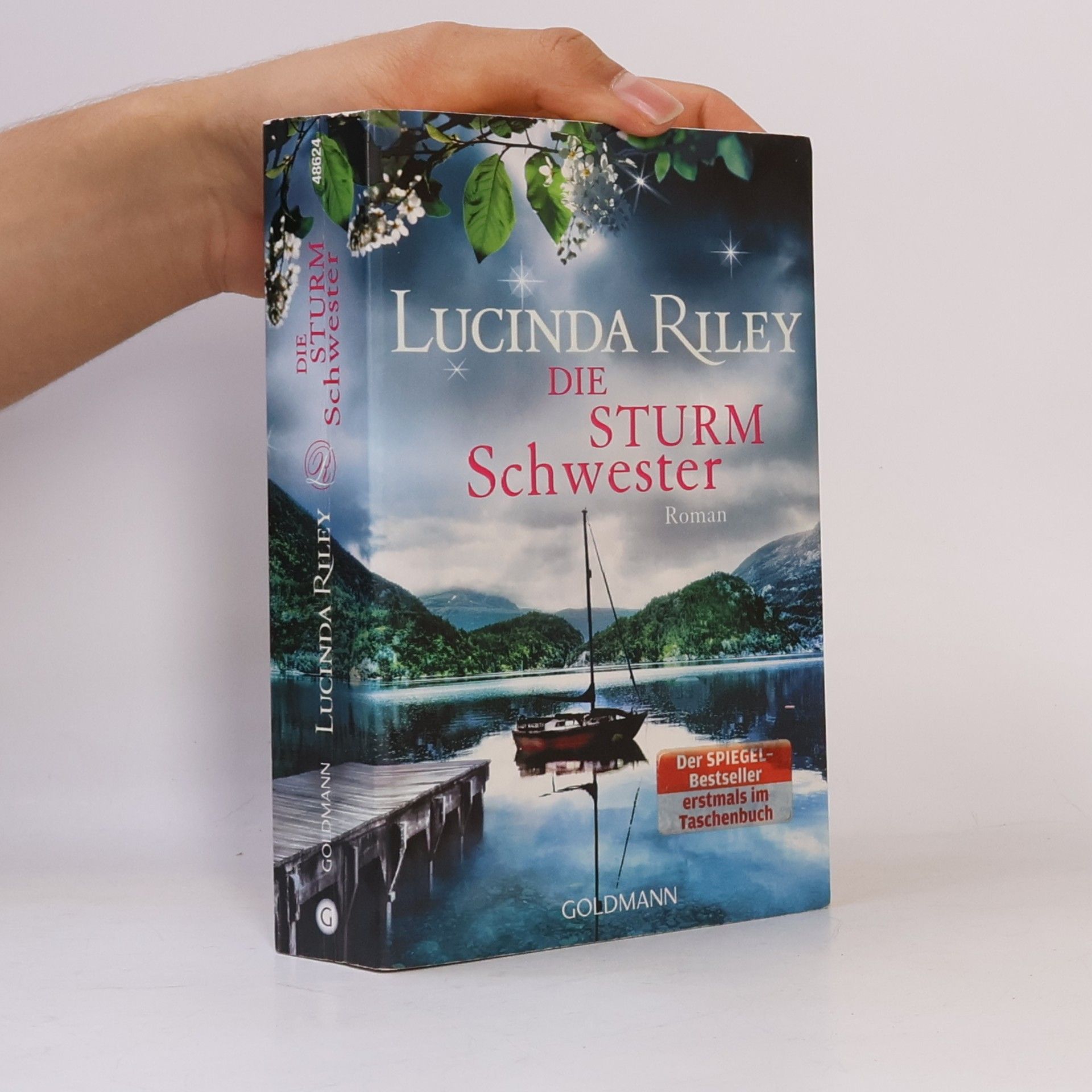 Lucinda Riley Die Sturmschwester