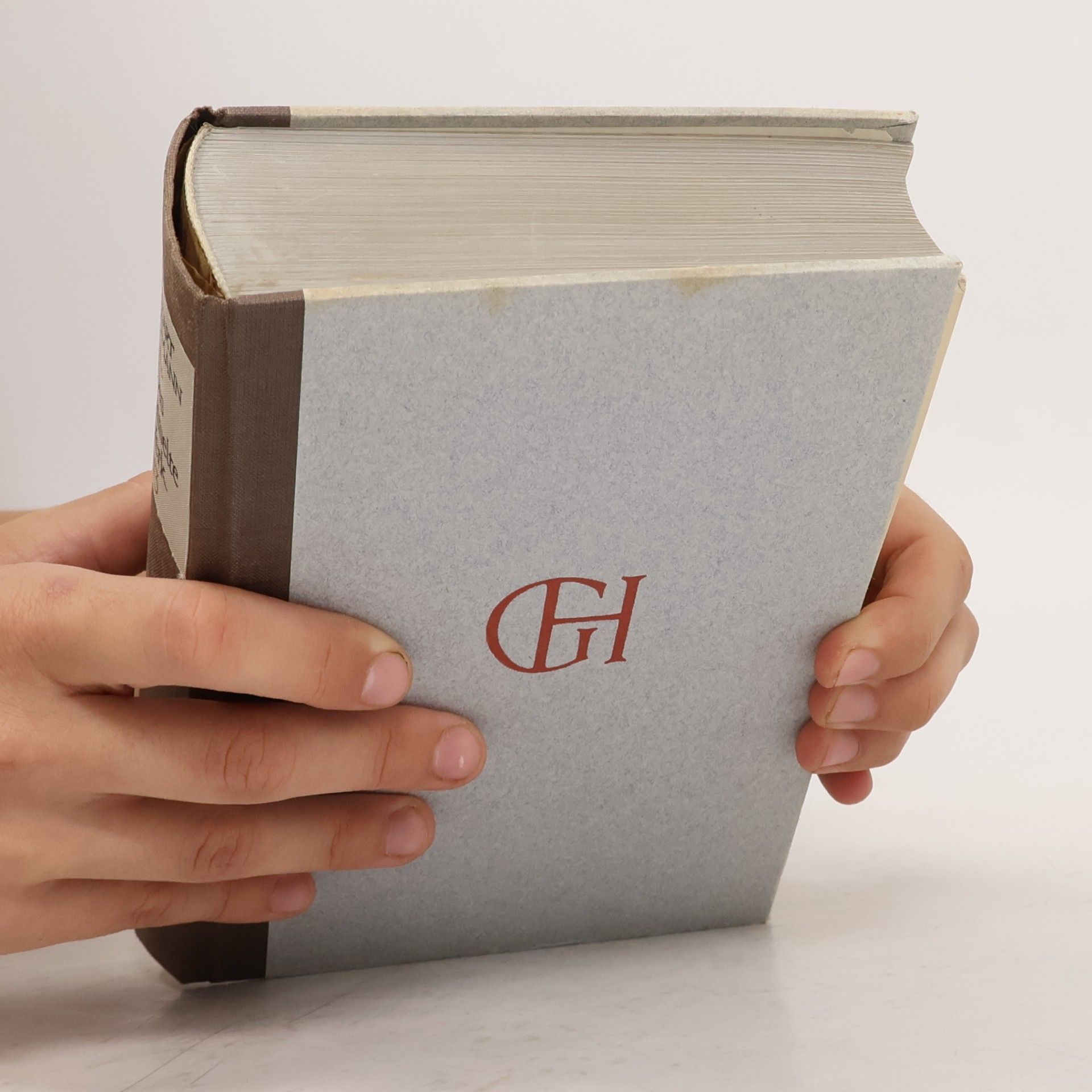 Gerhart Hauptmann Das gesammelte Werk 13