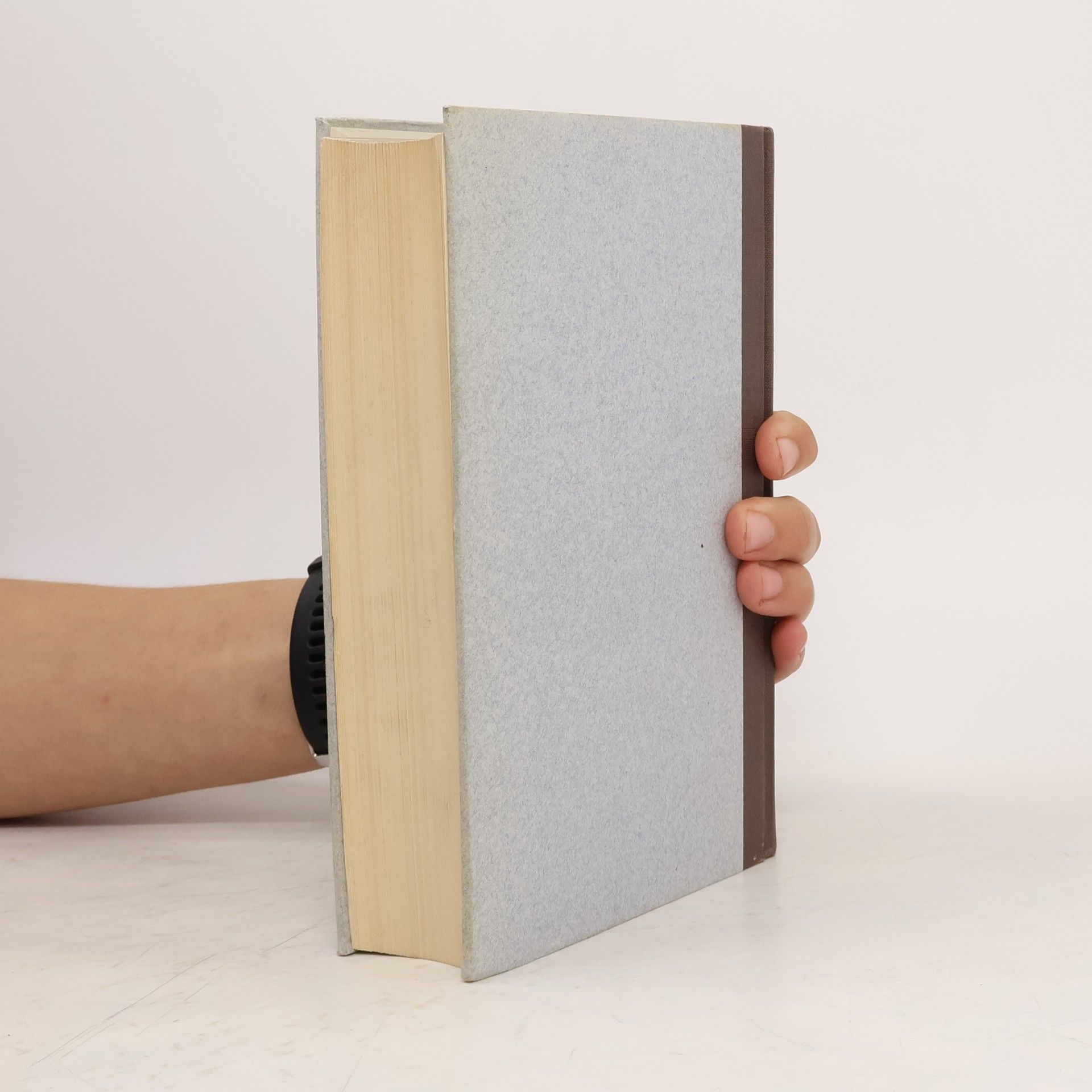 Gerhart Hauptmann Das gesammelte Werk 13