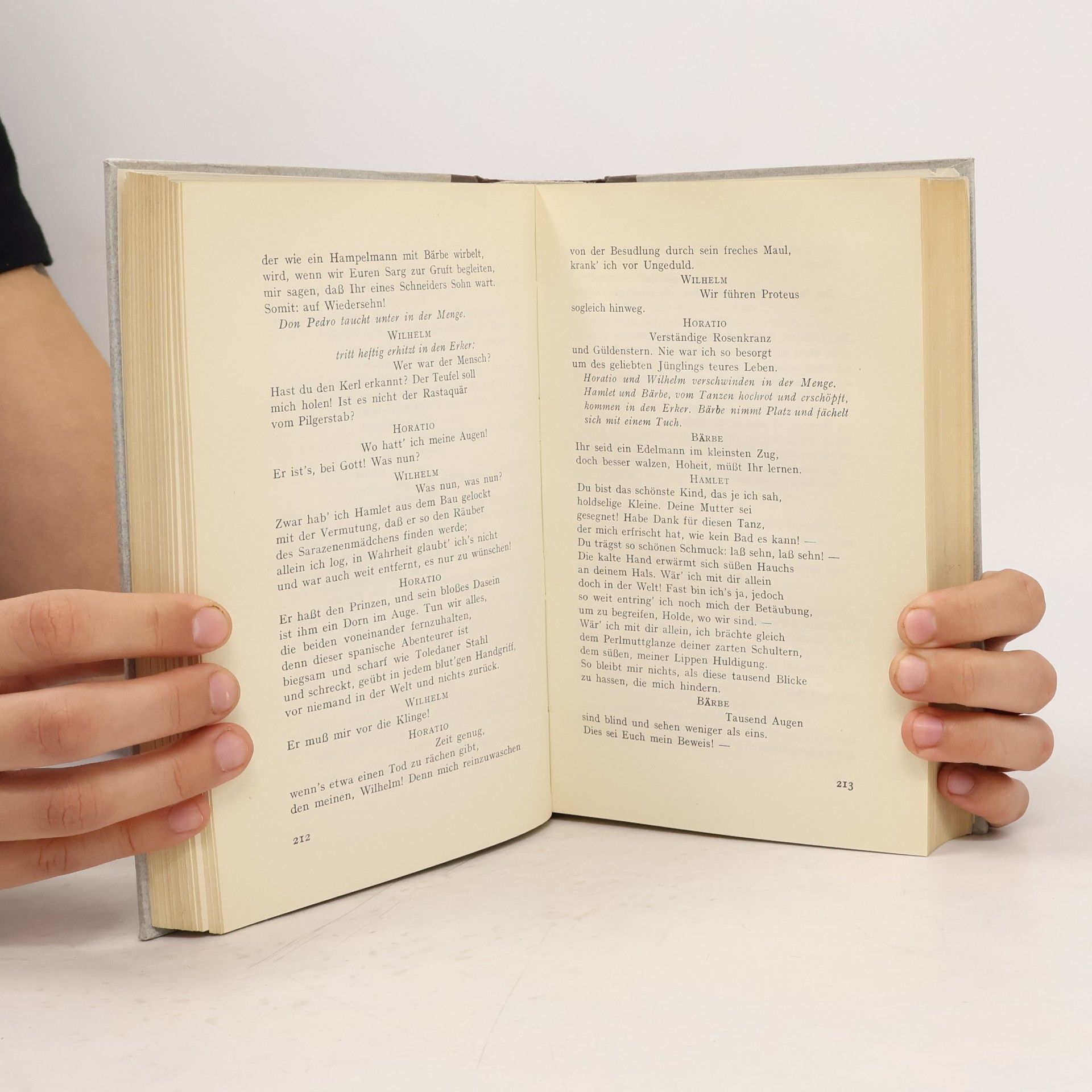 Gerhart Hauptmann Das gesammelte Werk 13