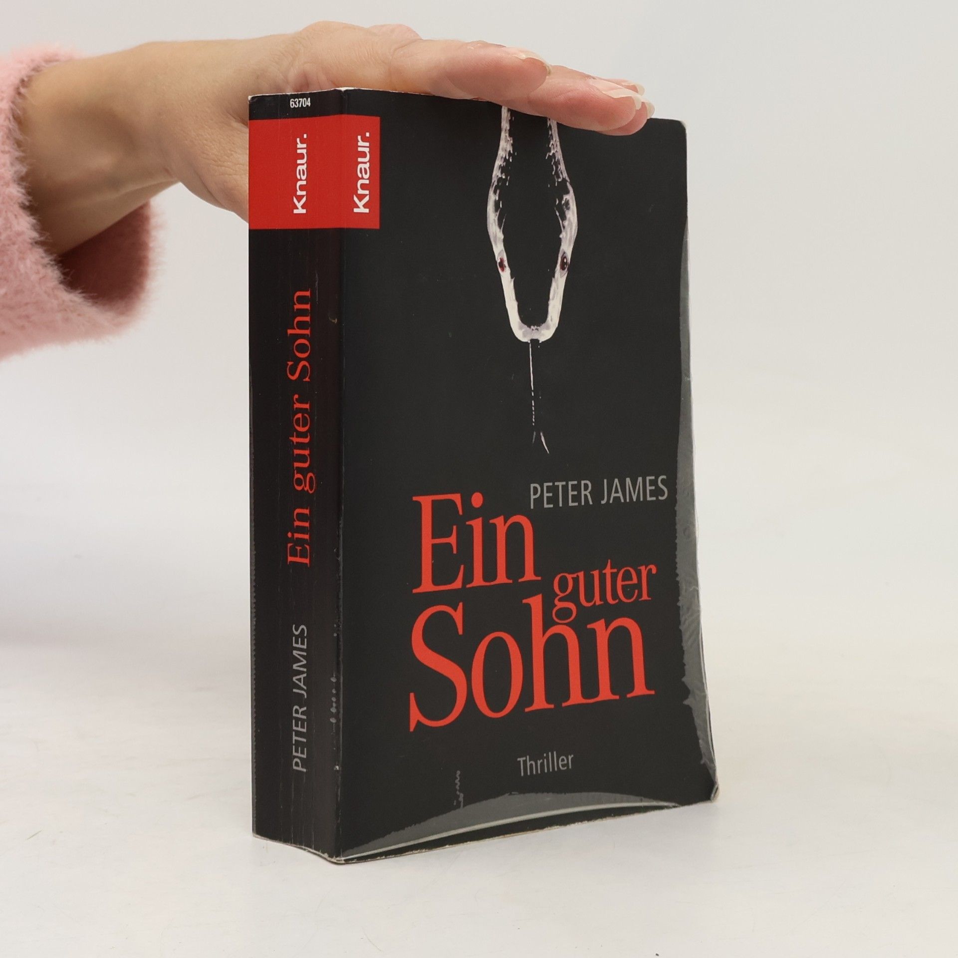 Peter James Ein guter Sohn