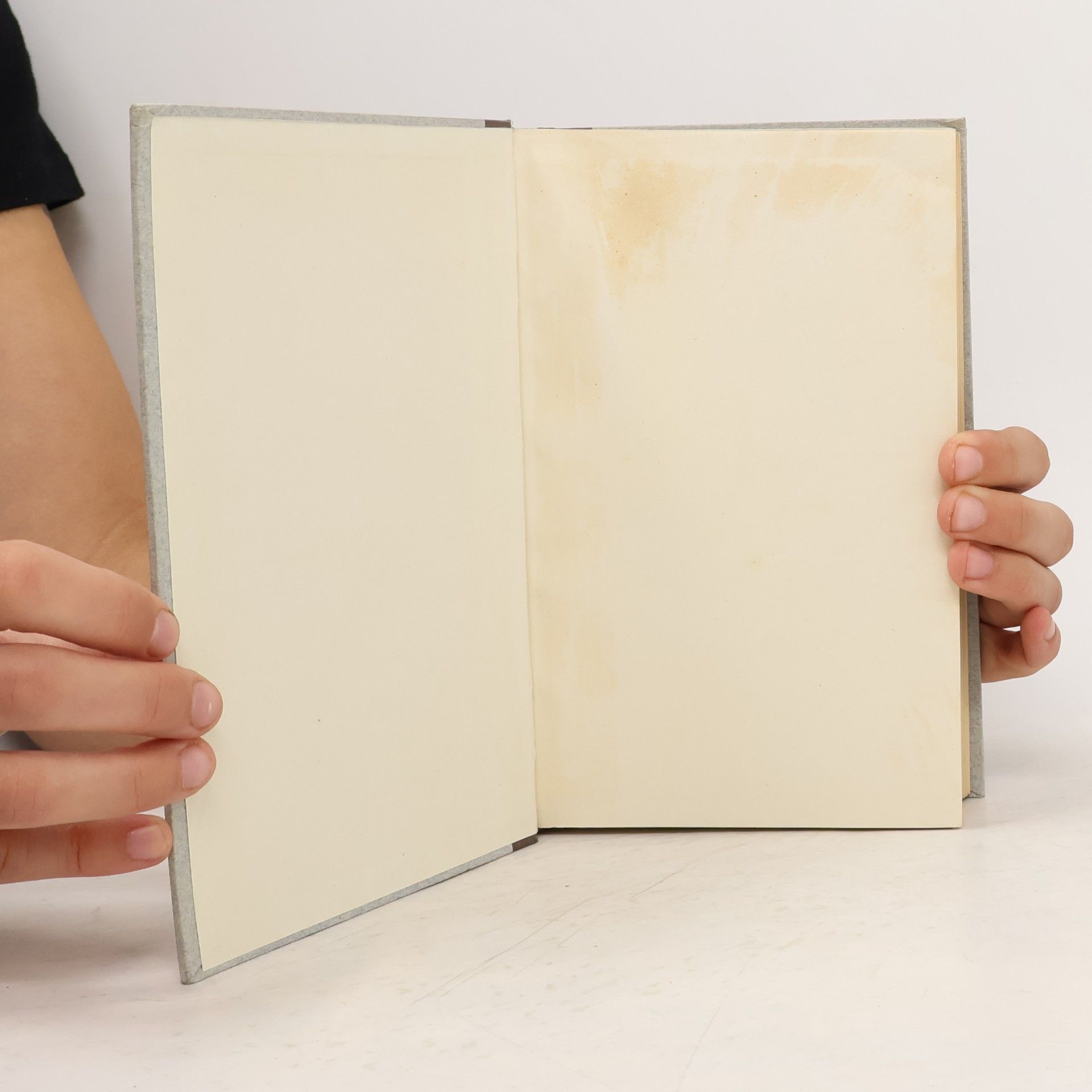Gerhart Hauptmann Das gesammelte Werk 5