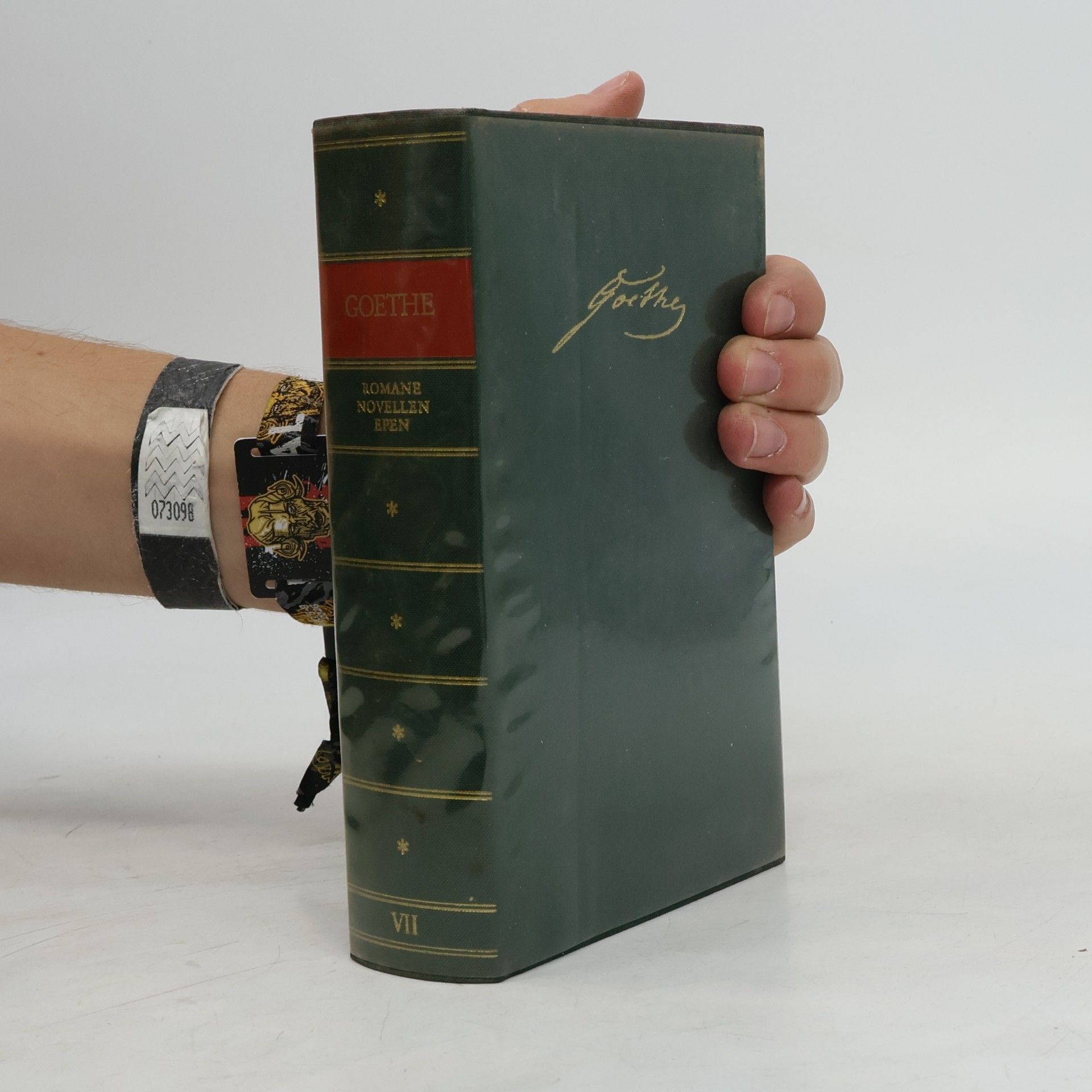 Johann Wolfgang von Goethe Goethe VII. Romane Novellen Epen