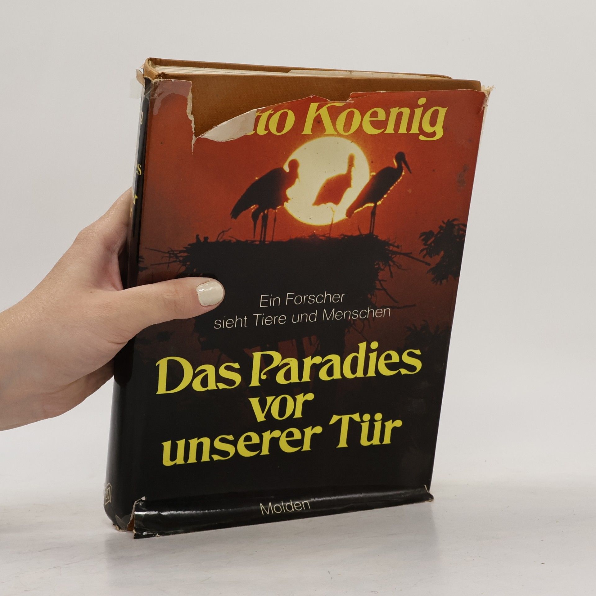 Otto Koenig Das Paradies vor unserer Tür