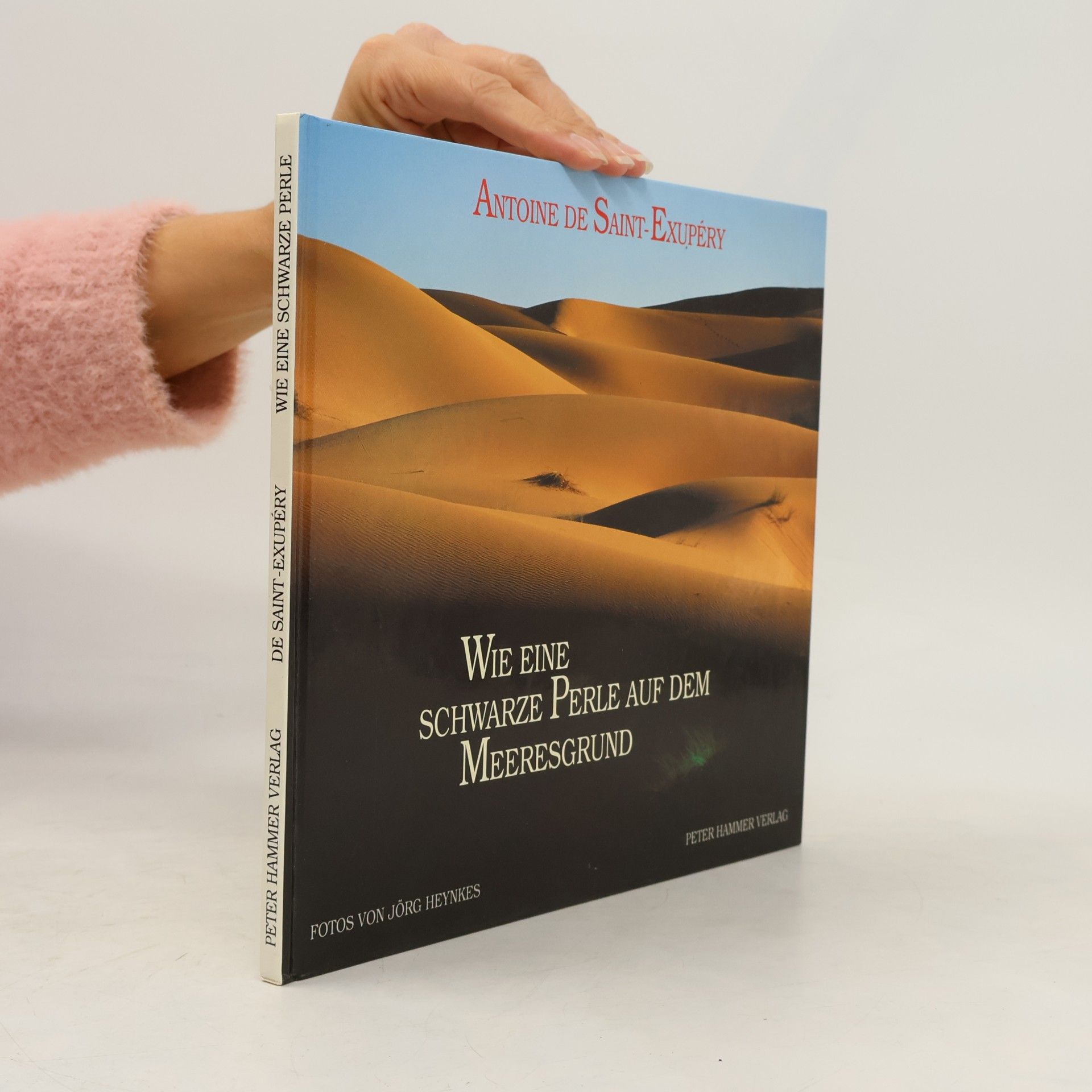 Antoine de Saint-Exupéry Wie eine schwarze Perle auf dem Meeresgrund