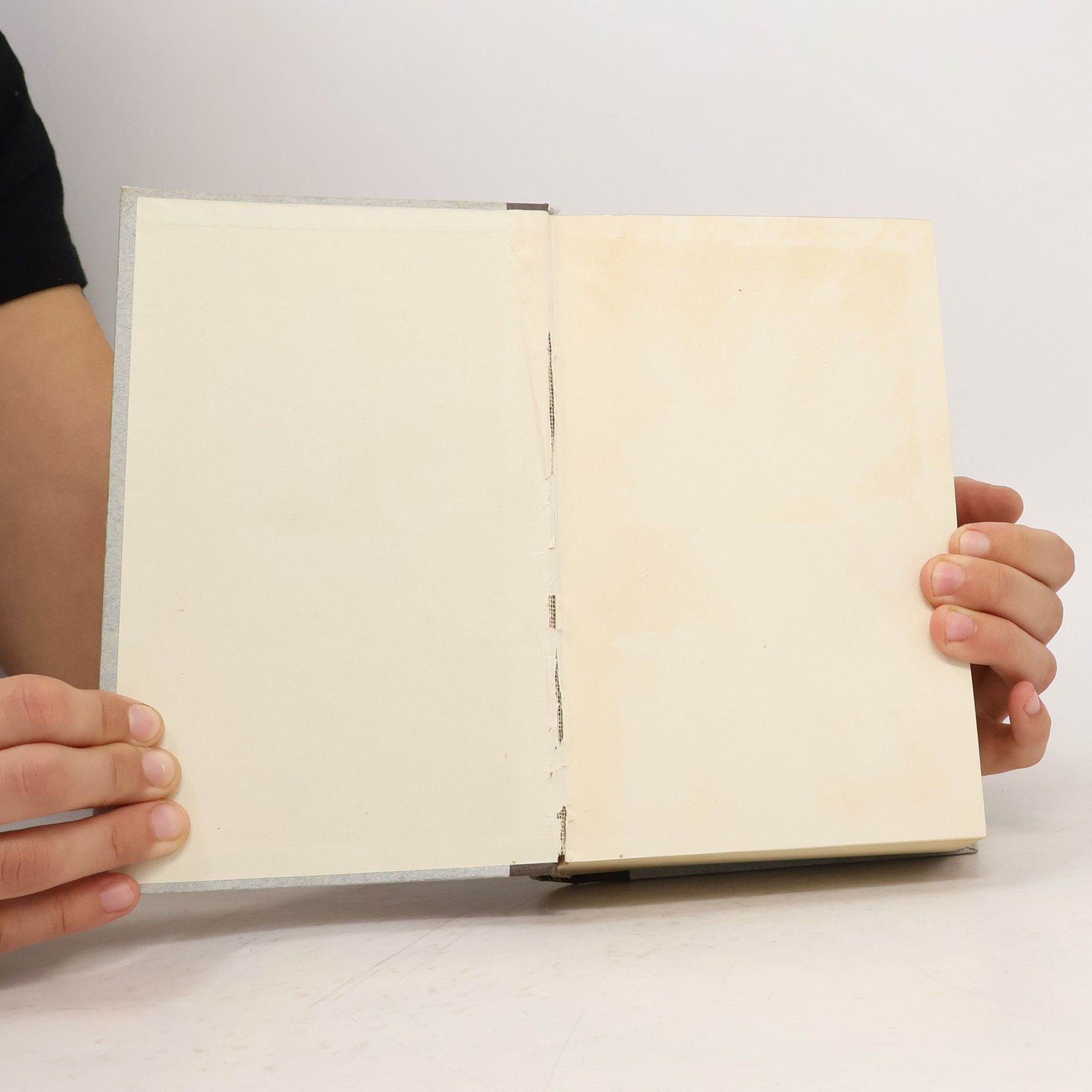 Gerhart Hauptmann Das gesammelte Werk 10