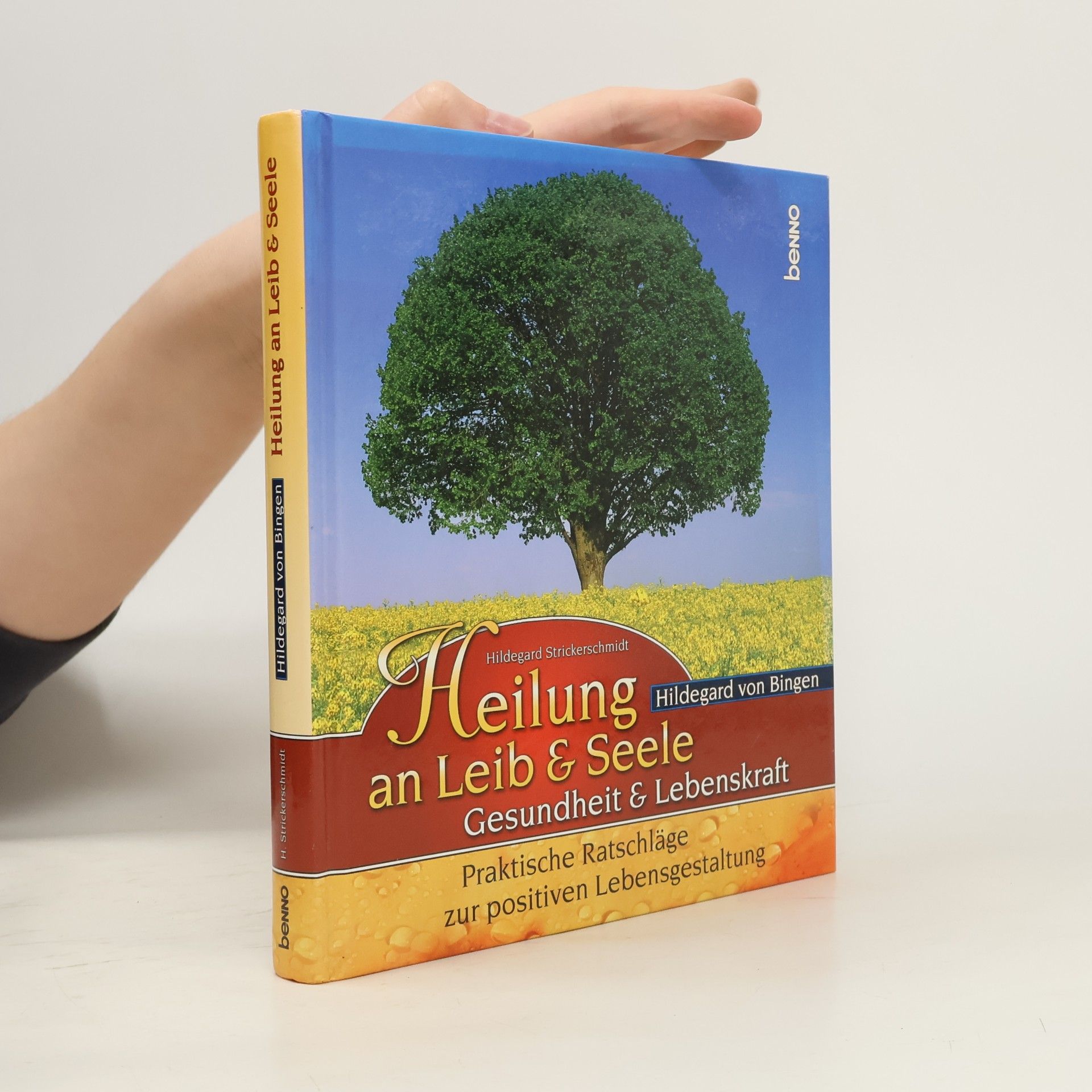 Hildegard Strickerschmidt Hildegard von Bingen - Heilung an Leib & Seele