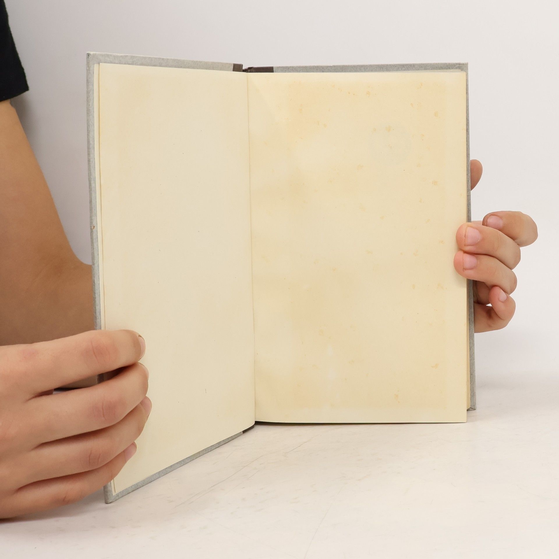 Gerhart Hauptmann Das gesammelte Werk 16