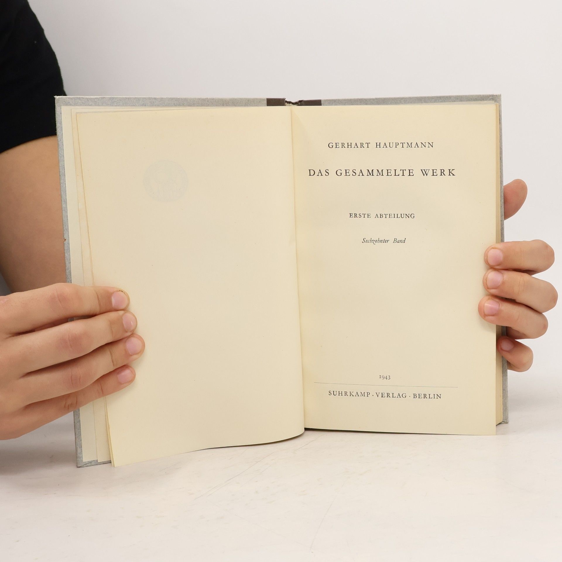 Gerhart Hauptmann Das gesammelte Werk 16