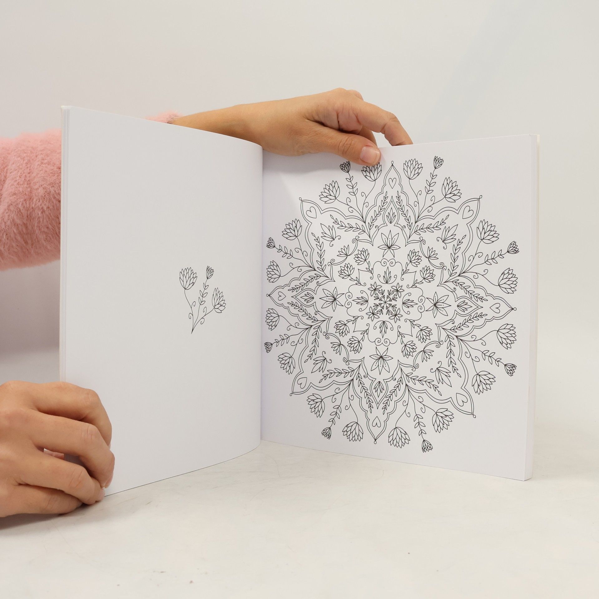Marielle Enders Mandala Zauber