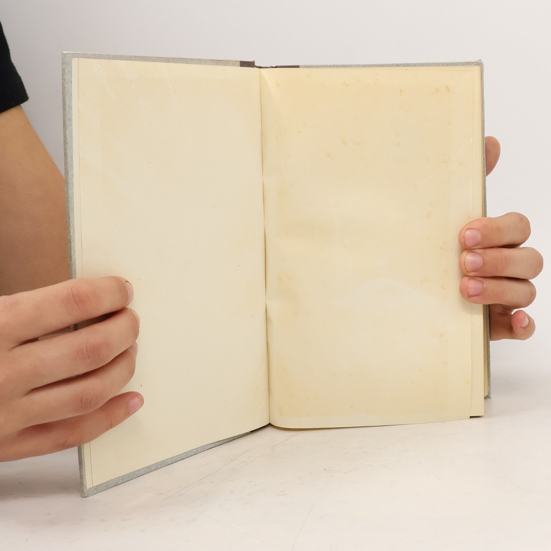 Gerhart Hauptmann Das gesammelte Werk 11