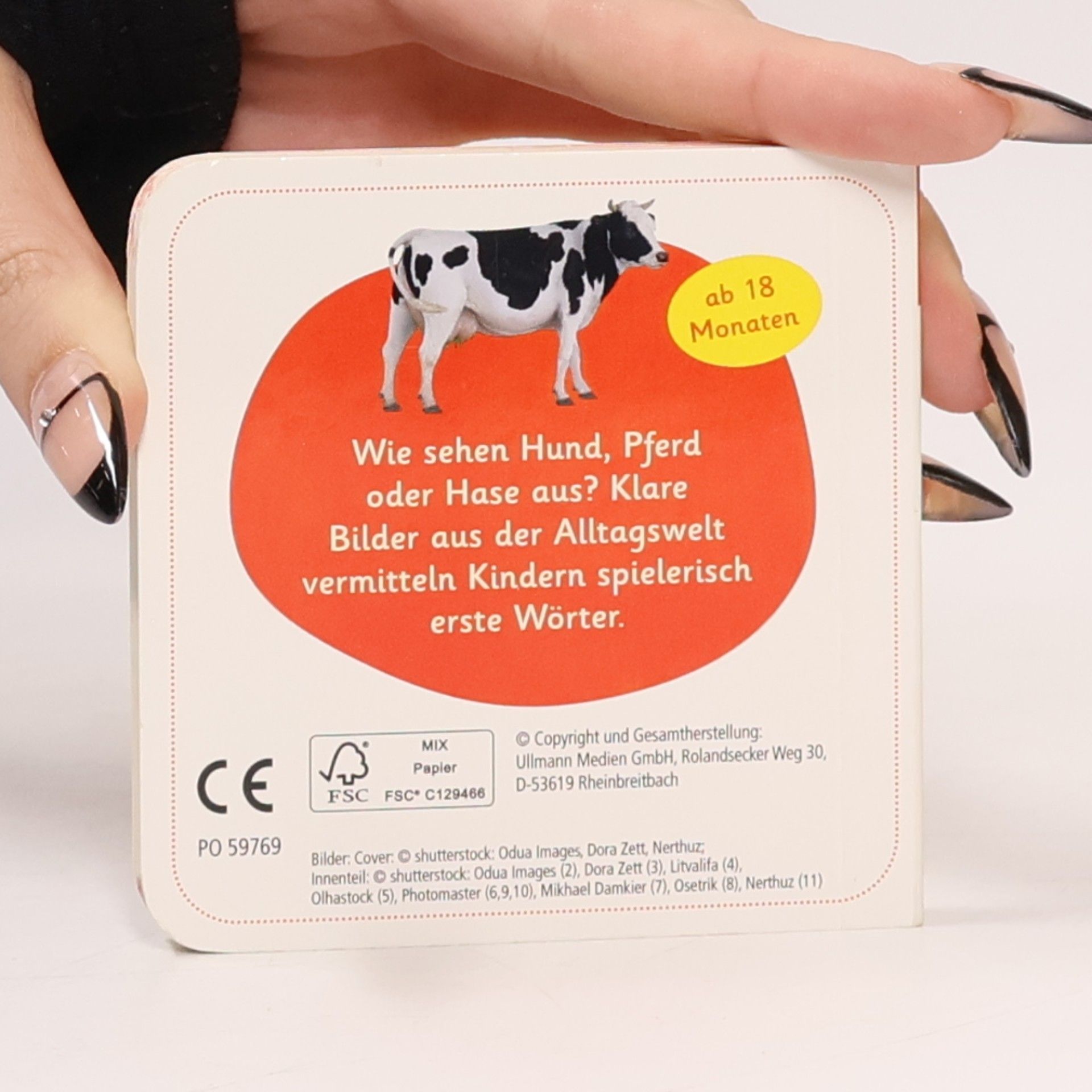 Autorenkollektiv Tiere