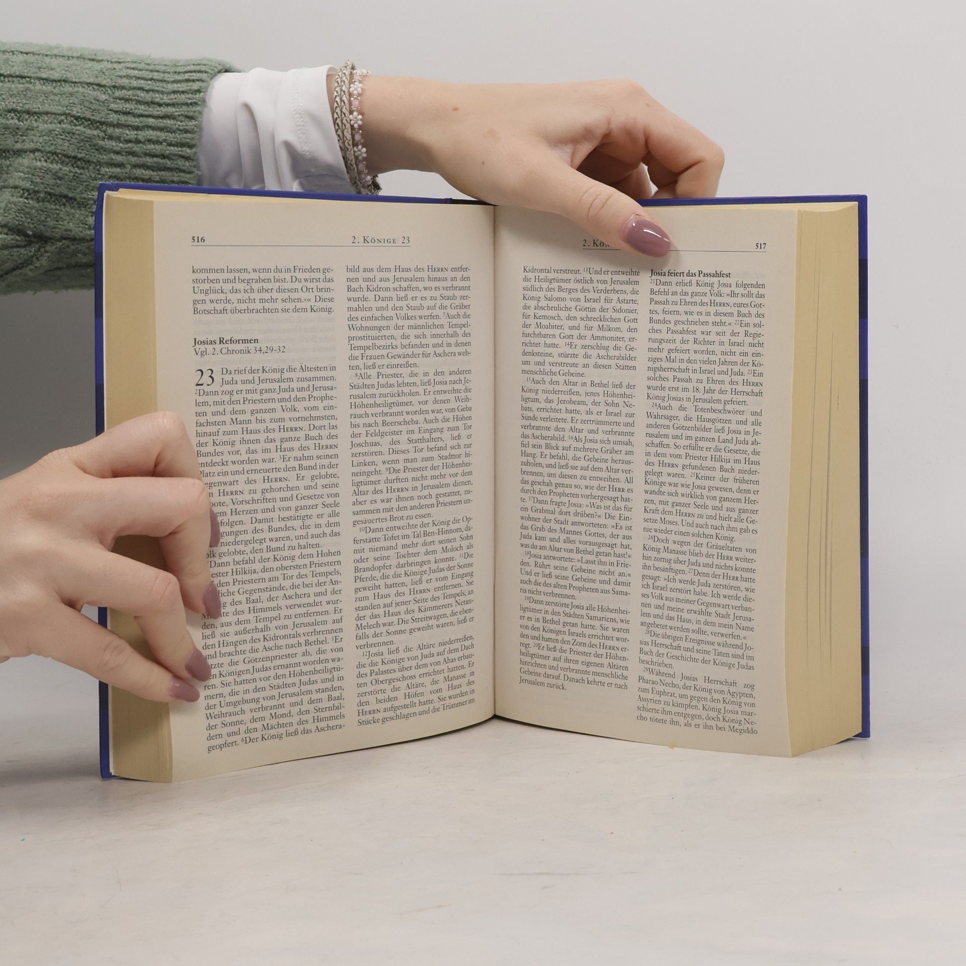 Die Bibel - für die Gemeinde - Neues Leben