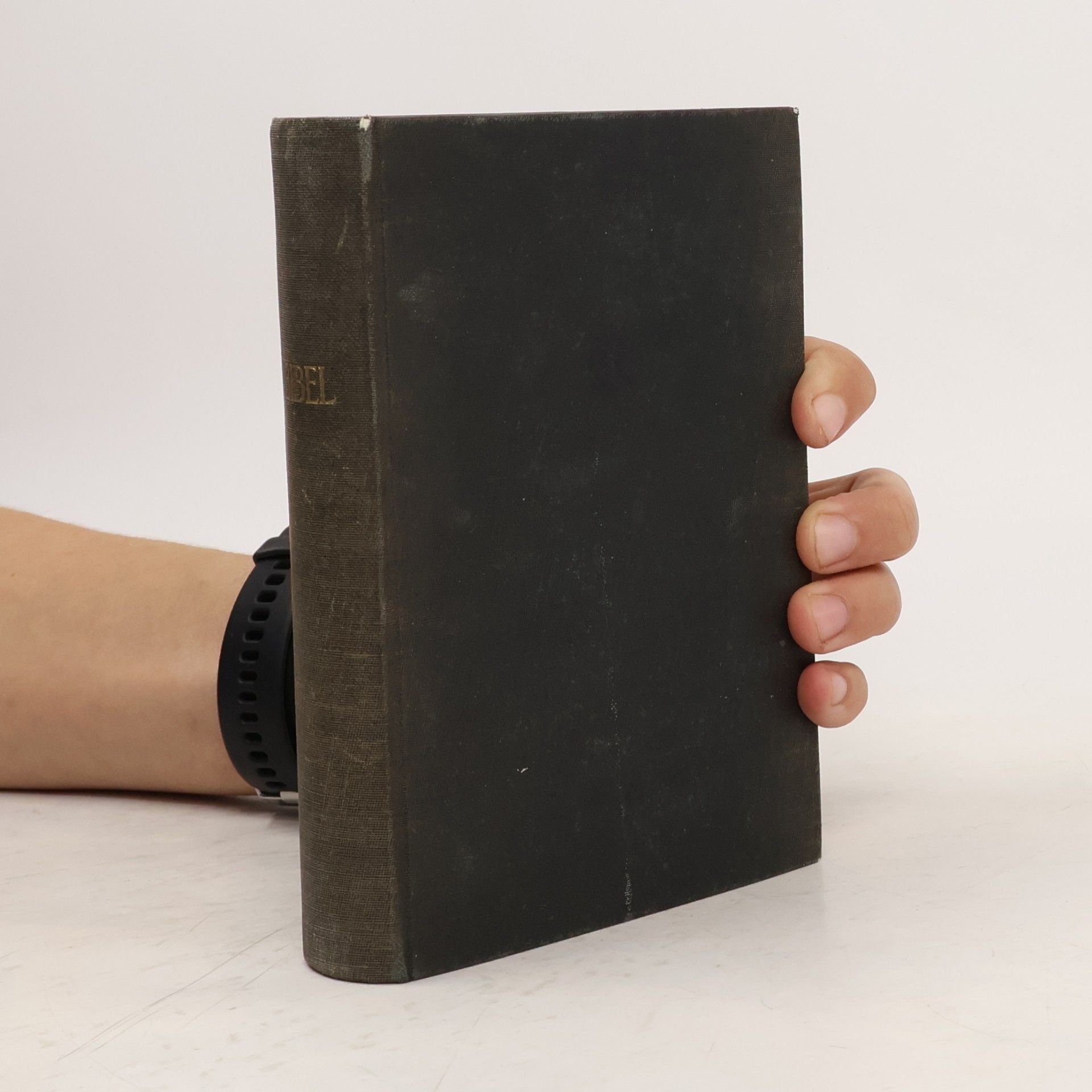 kolektiv Bibel