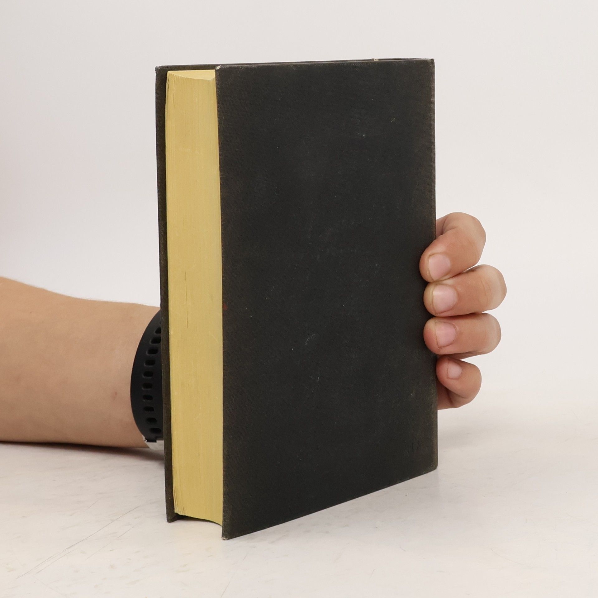 kolektiv Bibel