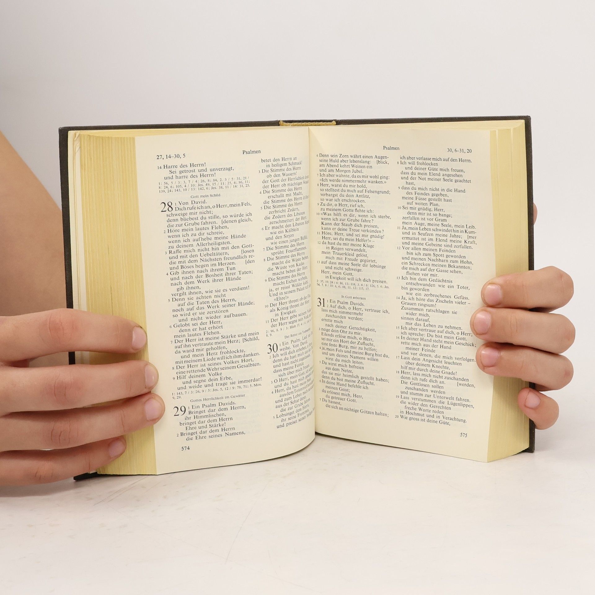kolektiv Bibel