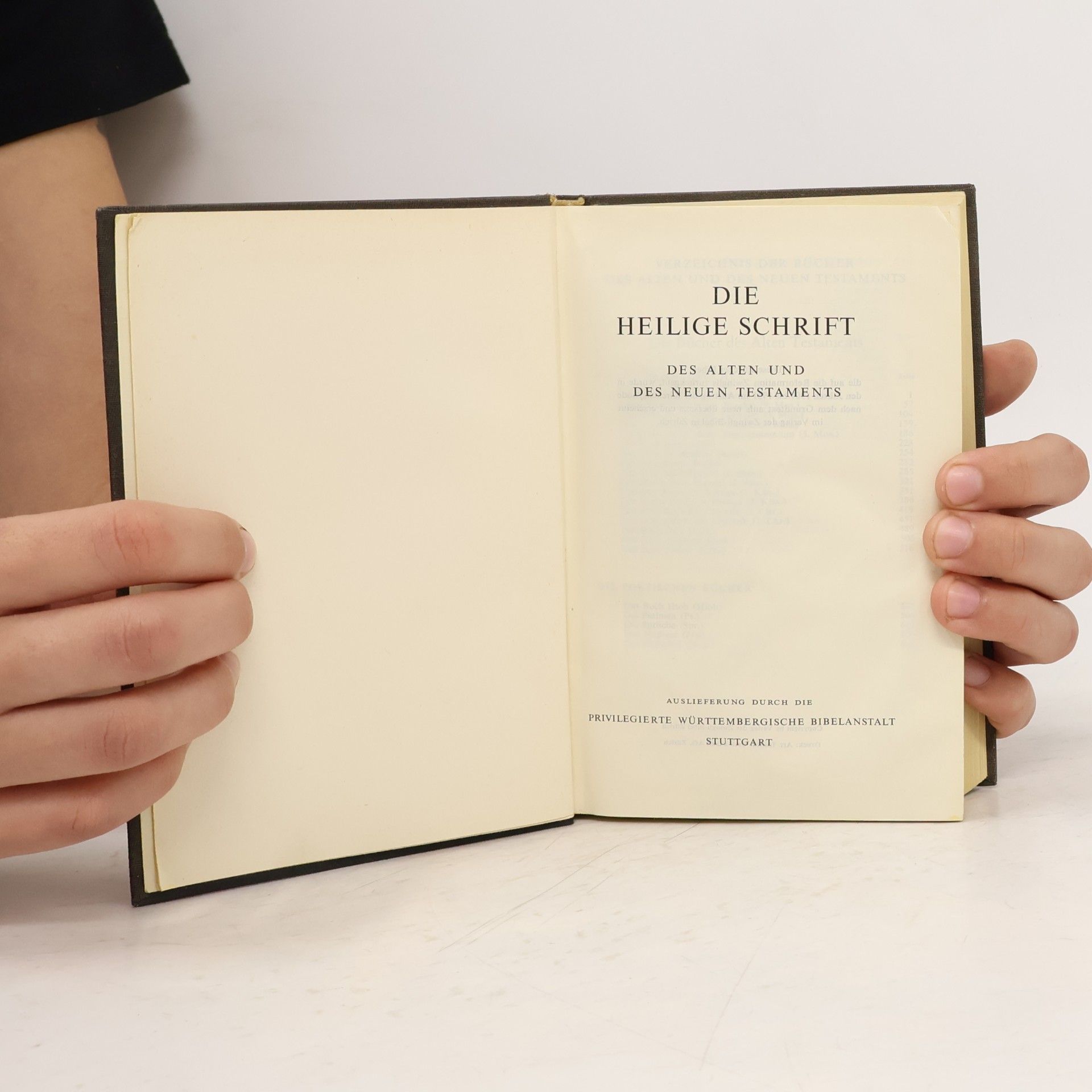 kolektiv Bibel