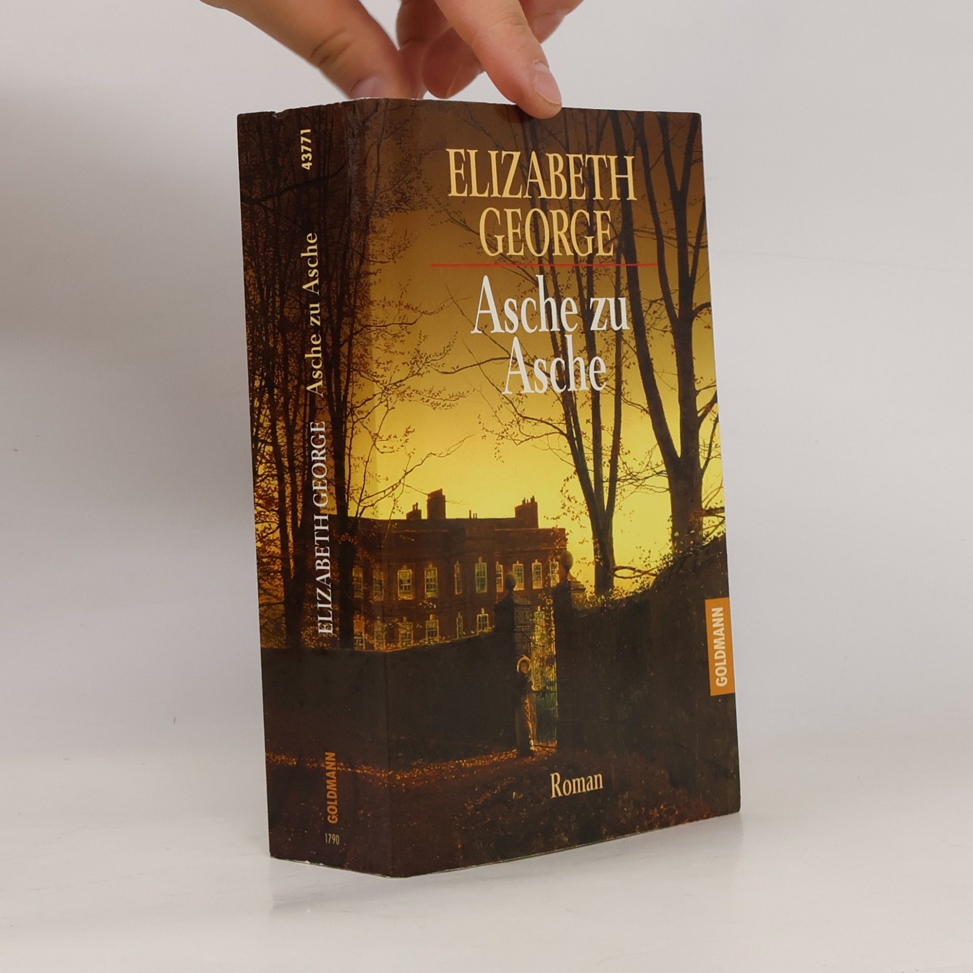 Elizabeth George Asche zu Asche