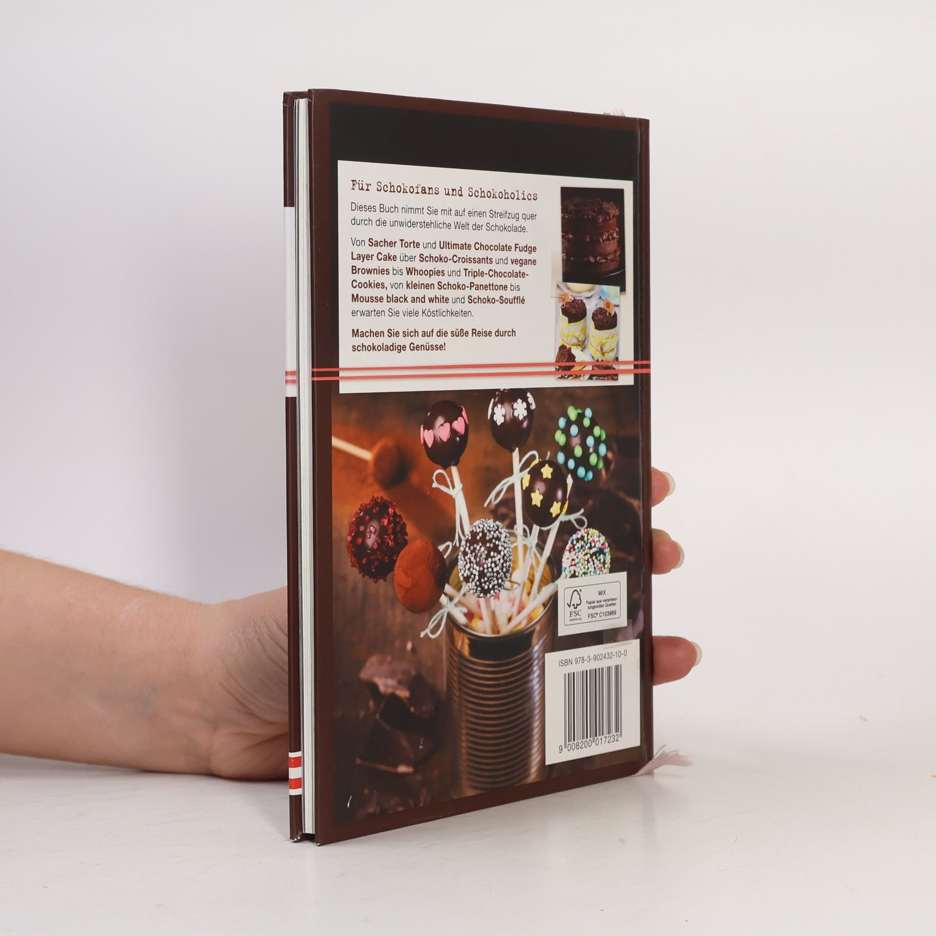 Das Schoko-Buch