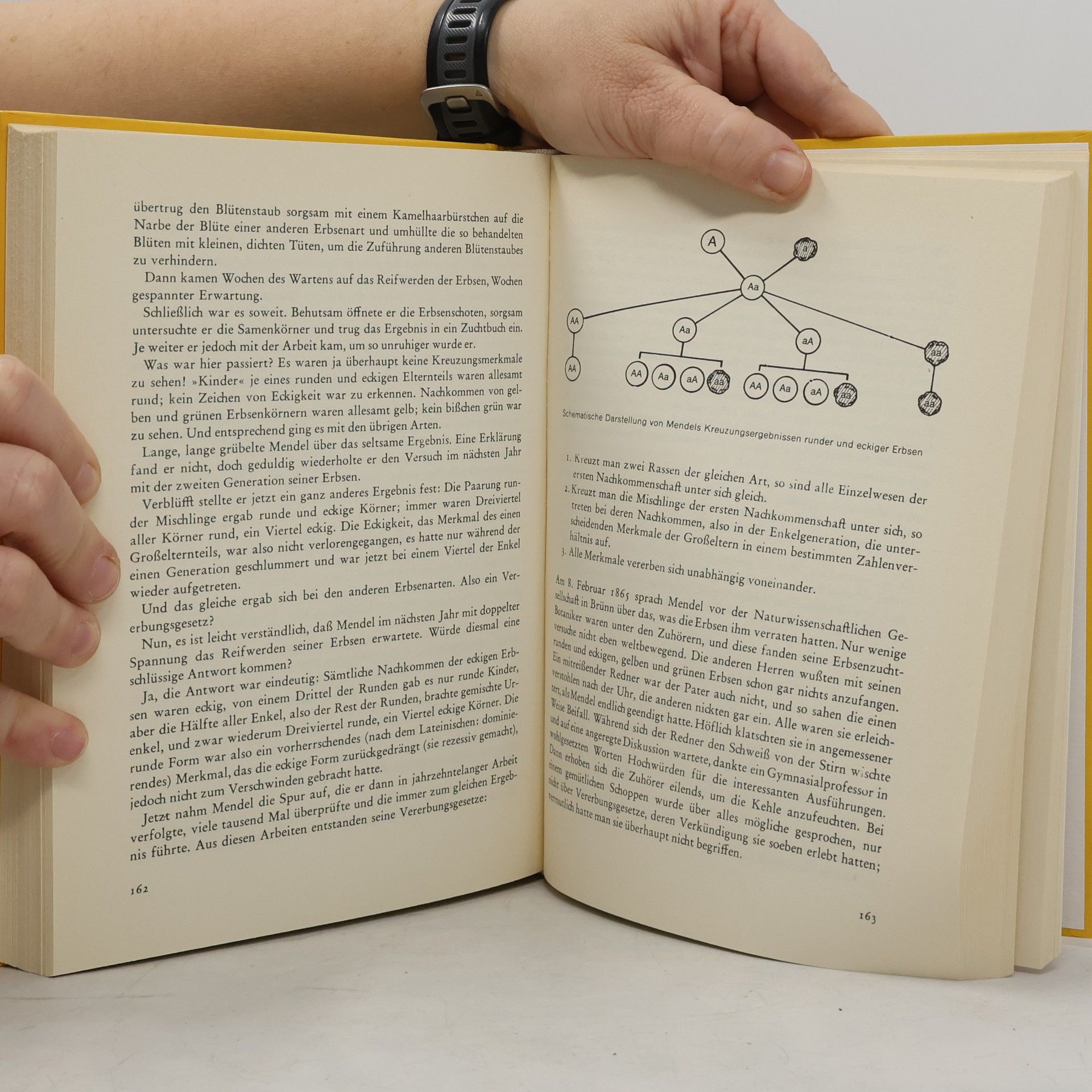 Julius Moshage Das grosse Buch vom Menschen