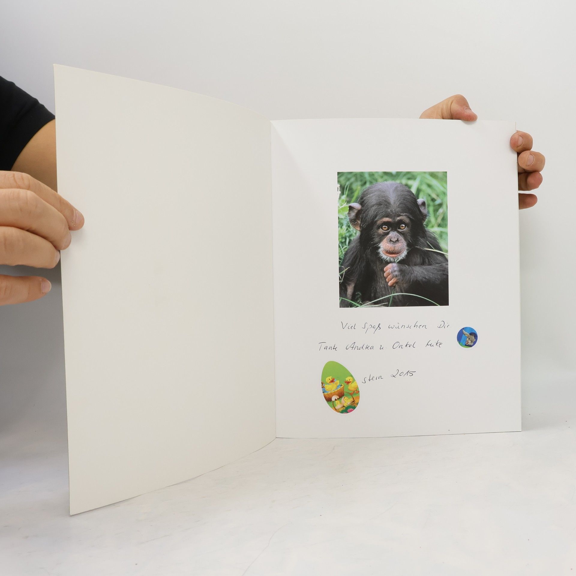 Henning Wiesner Tierkinder im Zoo