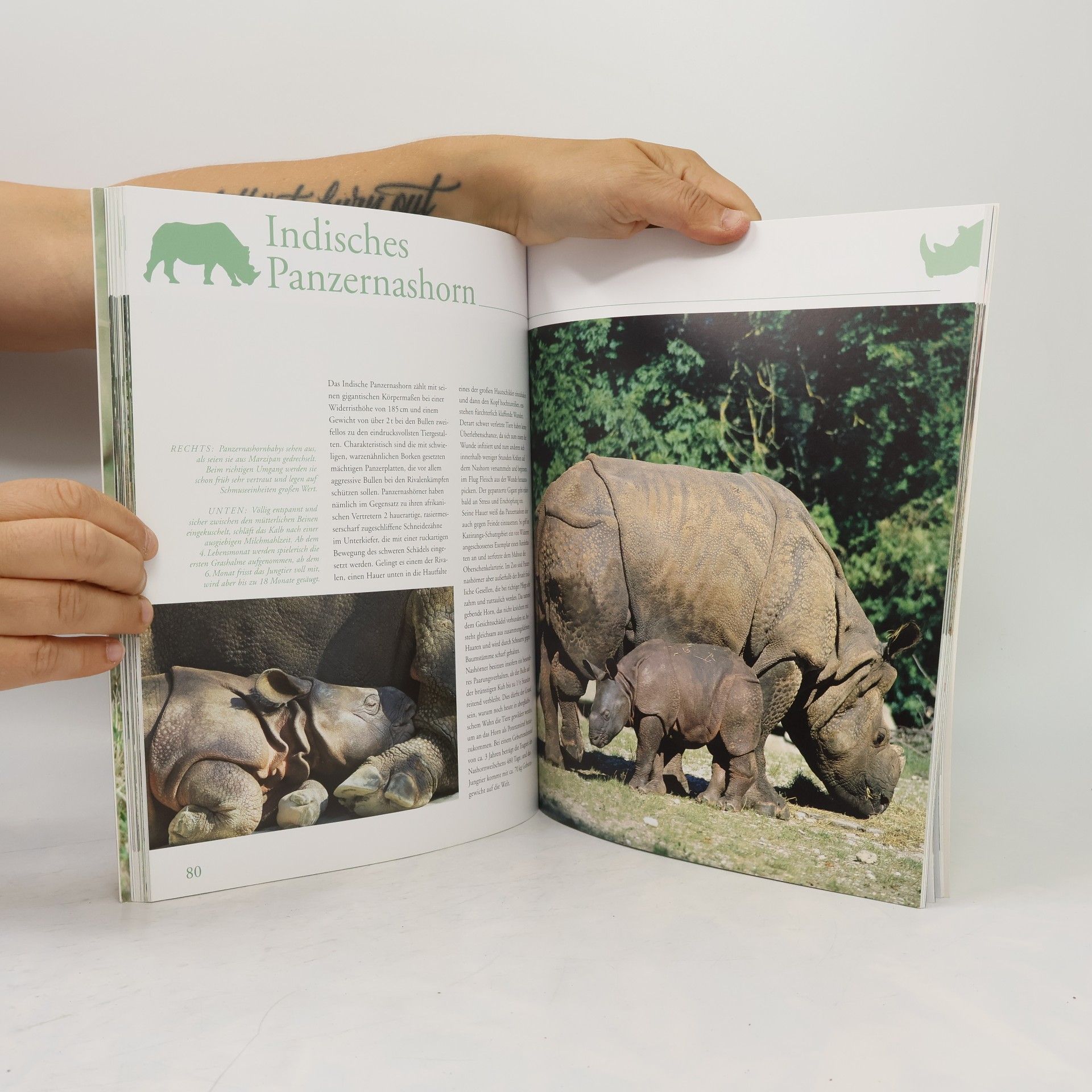 Henning Wiesner Tierkinder im Zoo