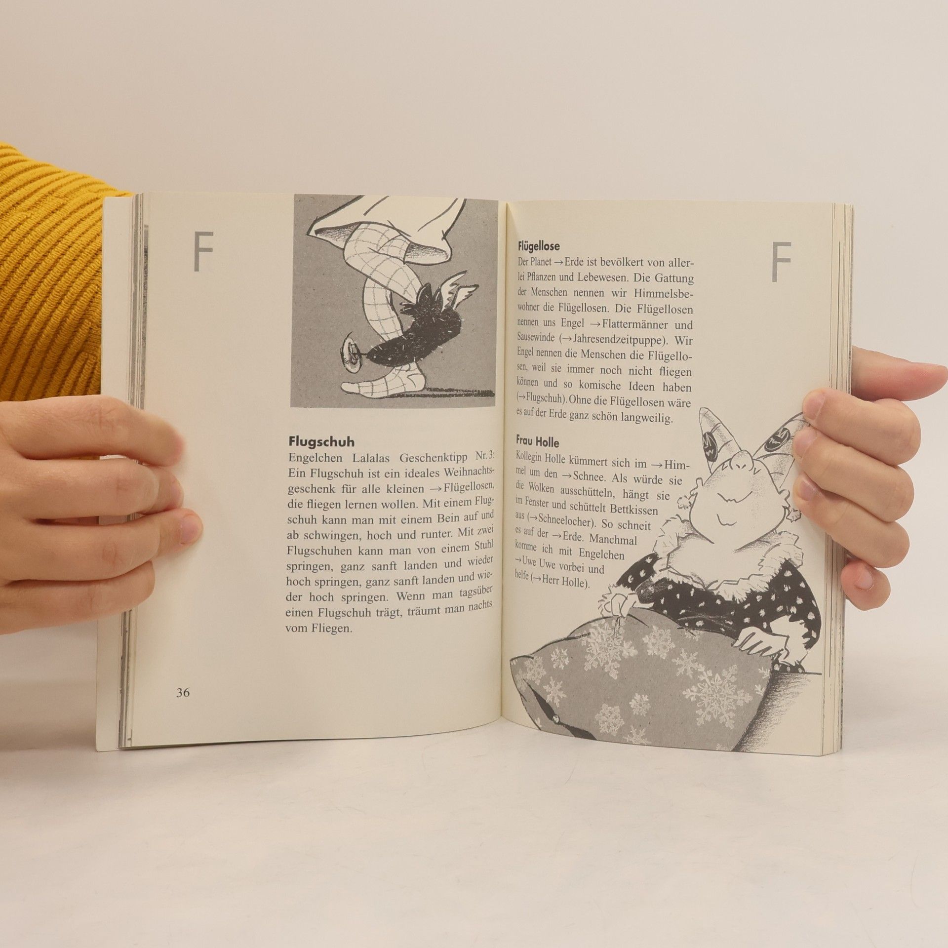 Erwin Grosche Engelchens Weihnachtslexikon