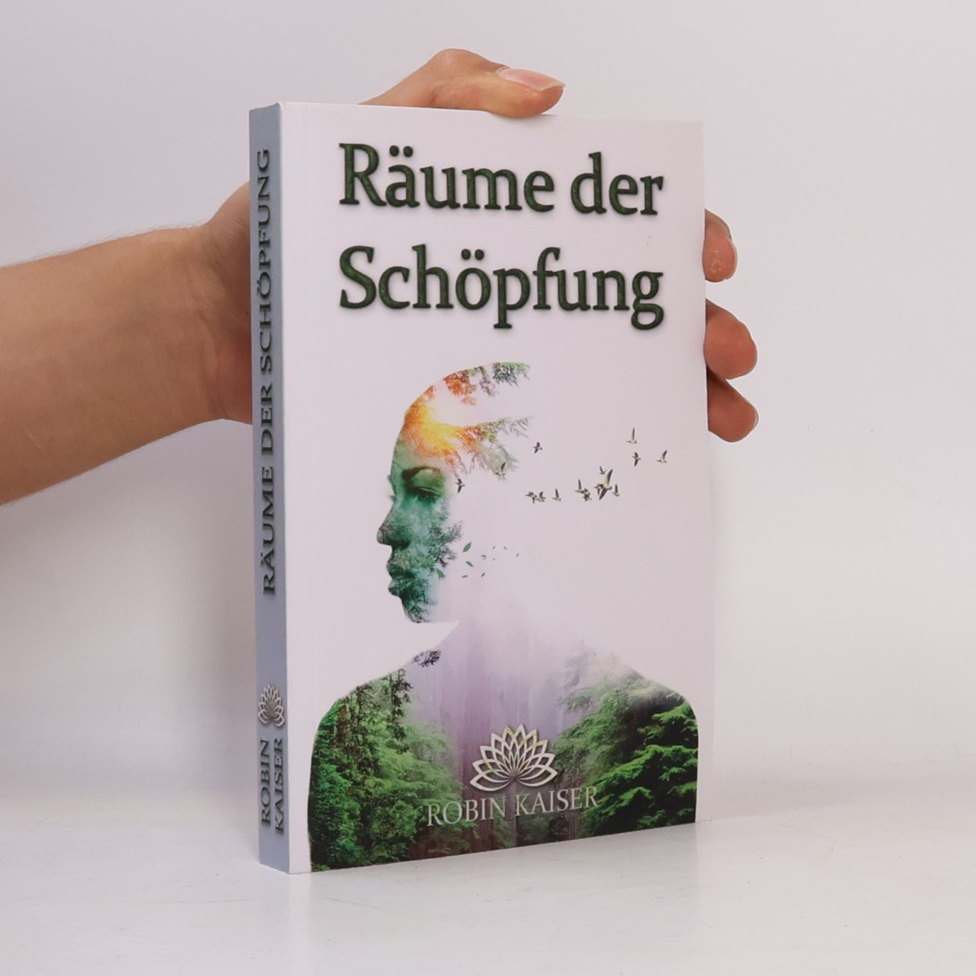 Robin Kaiser Räume der Schöpfung. Dein kosmisches Reisehandbuch
