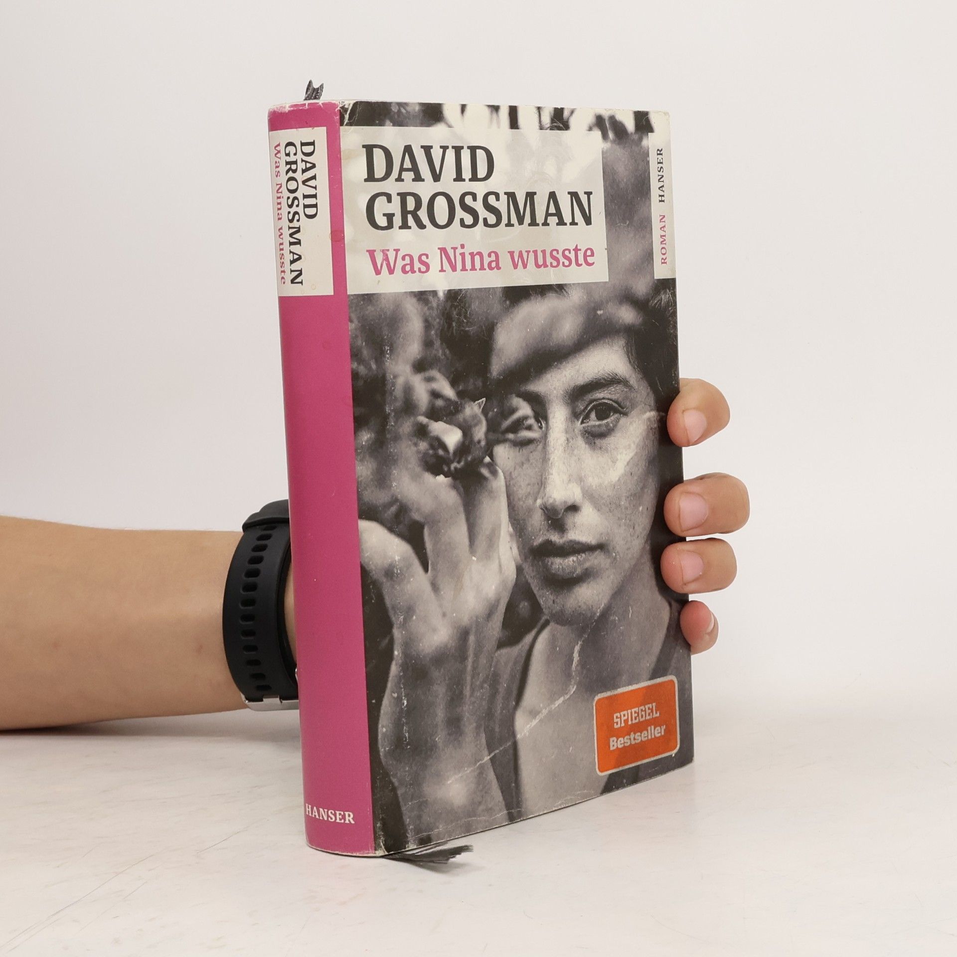 David Grossman Was Nina wusste