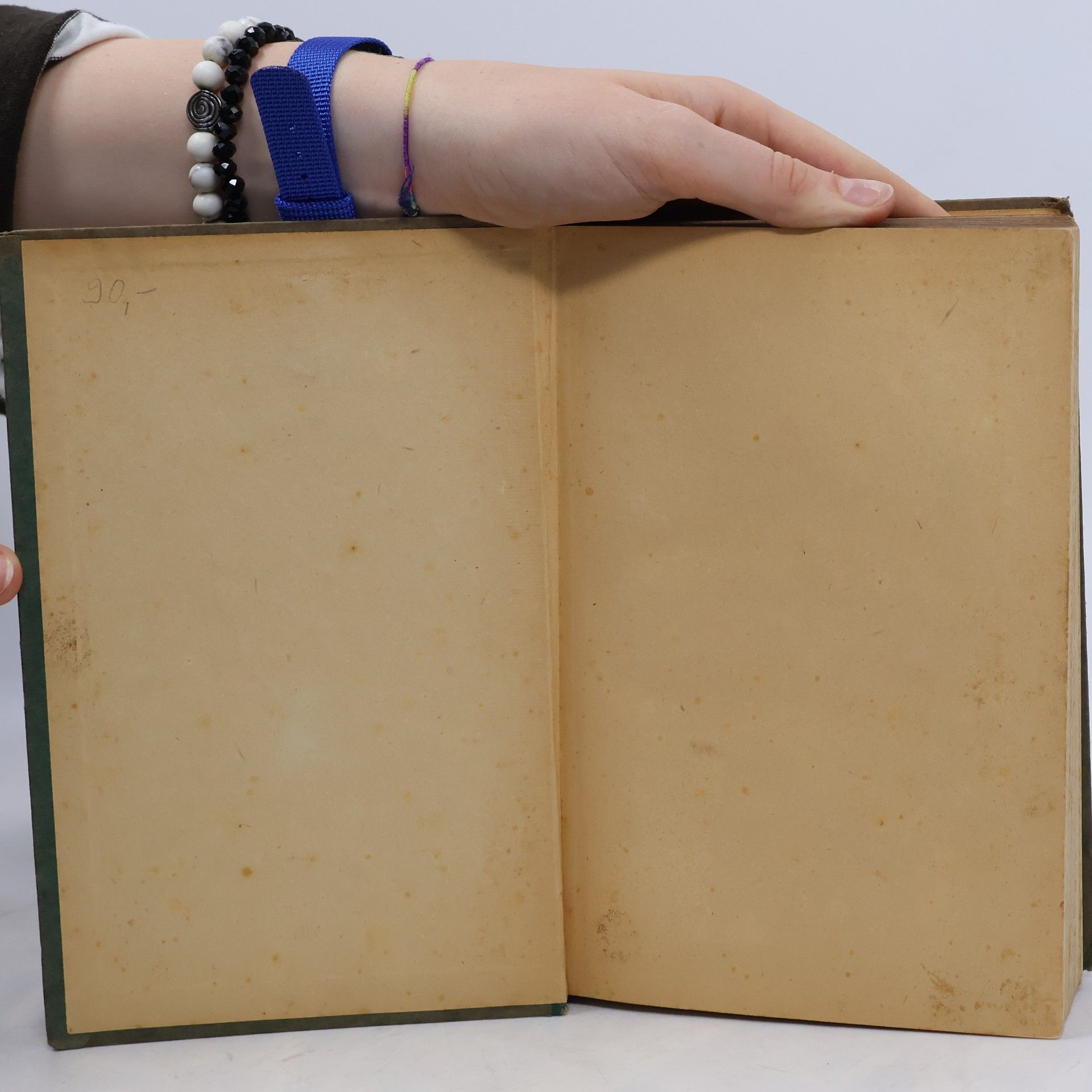 Adolf Dunkmann Österreich-pfälzisches Dichterbuch
