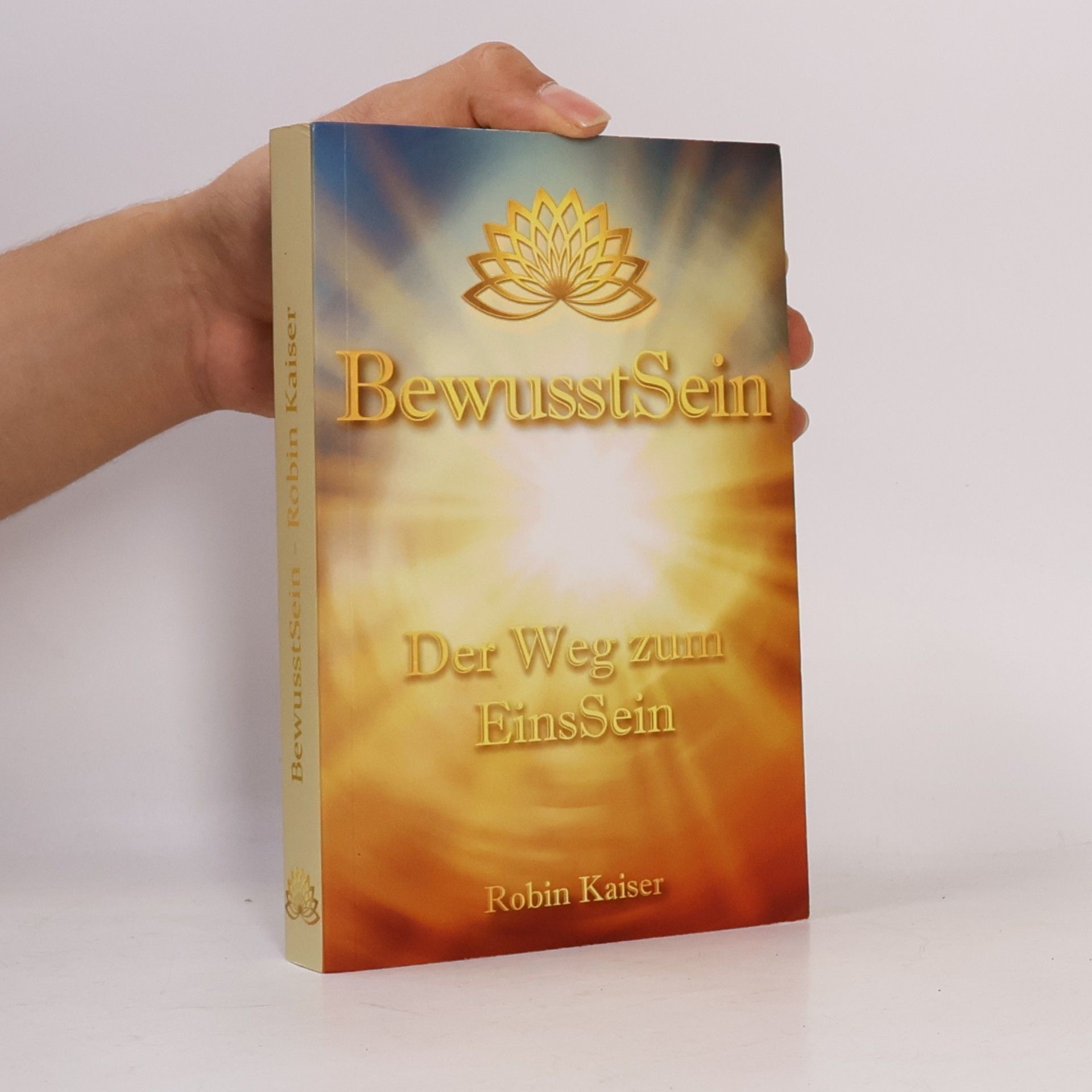 Robin Kaiser BewusstSein. Der Weg zum EinsSein