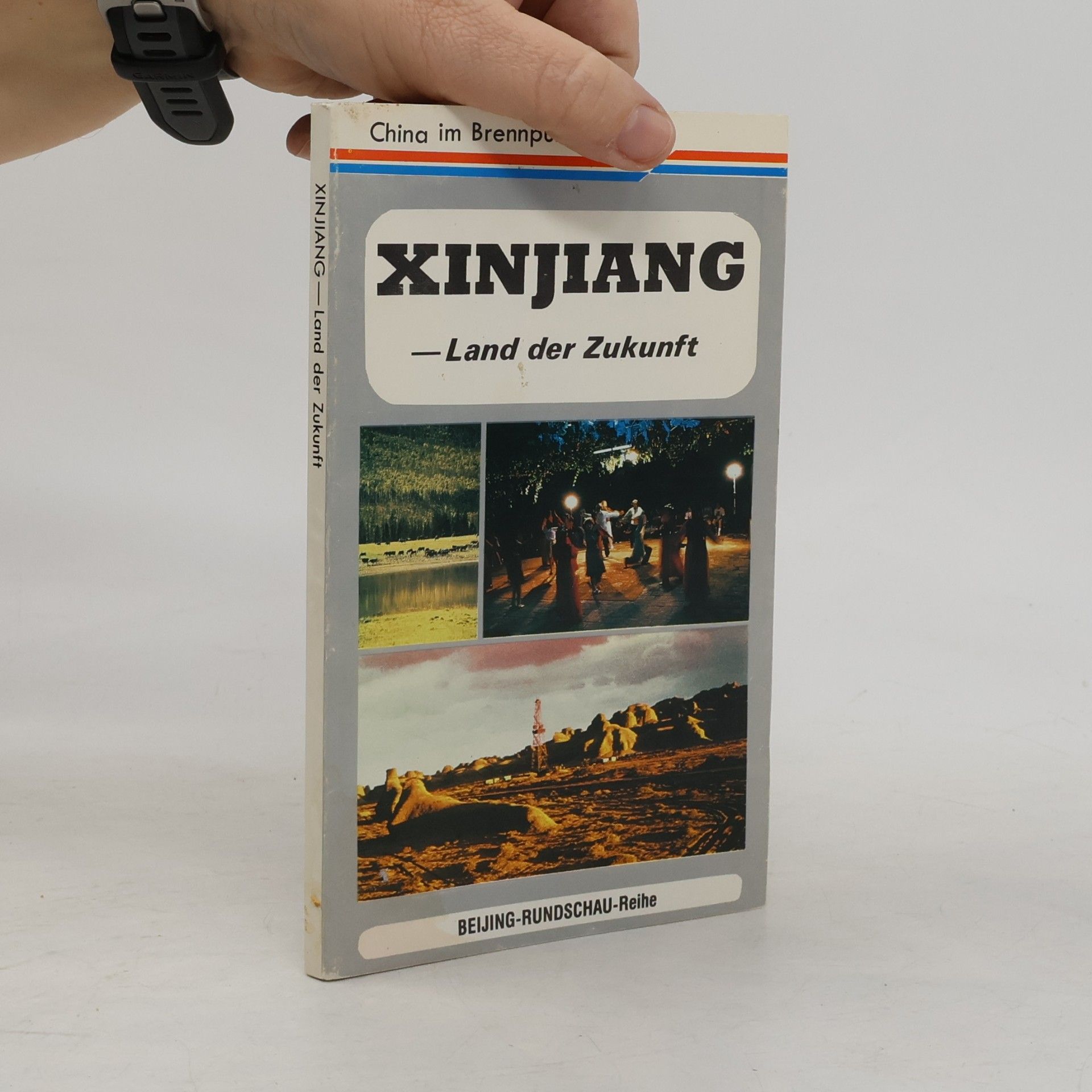 Autorenkollektiv Xinjiang. Land der Zukunft
