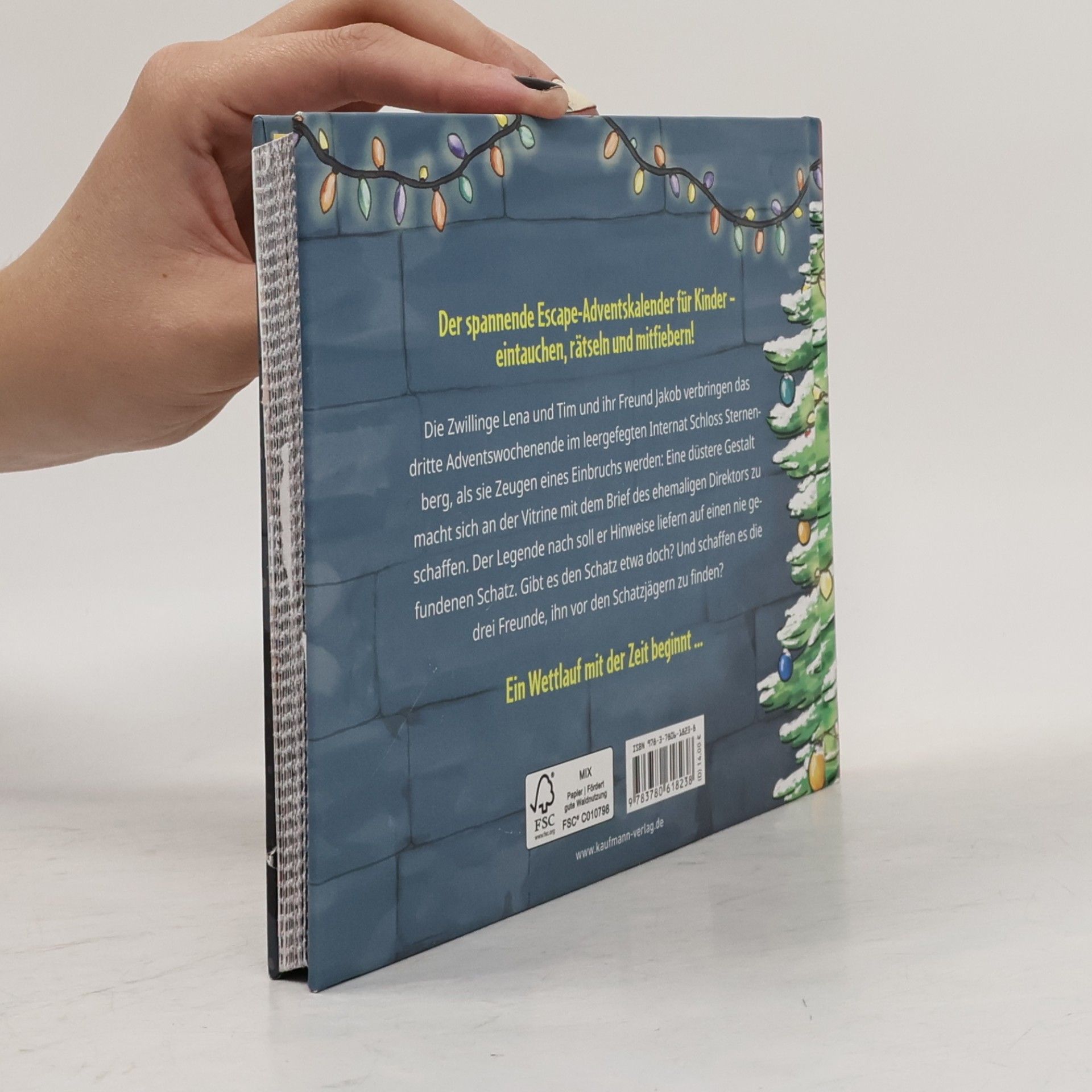 Anna Lisa Kiesel Findet den Schatz! - Ein Escape-Adventskalender für Kids