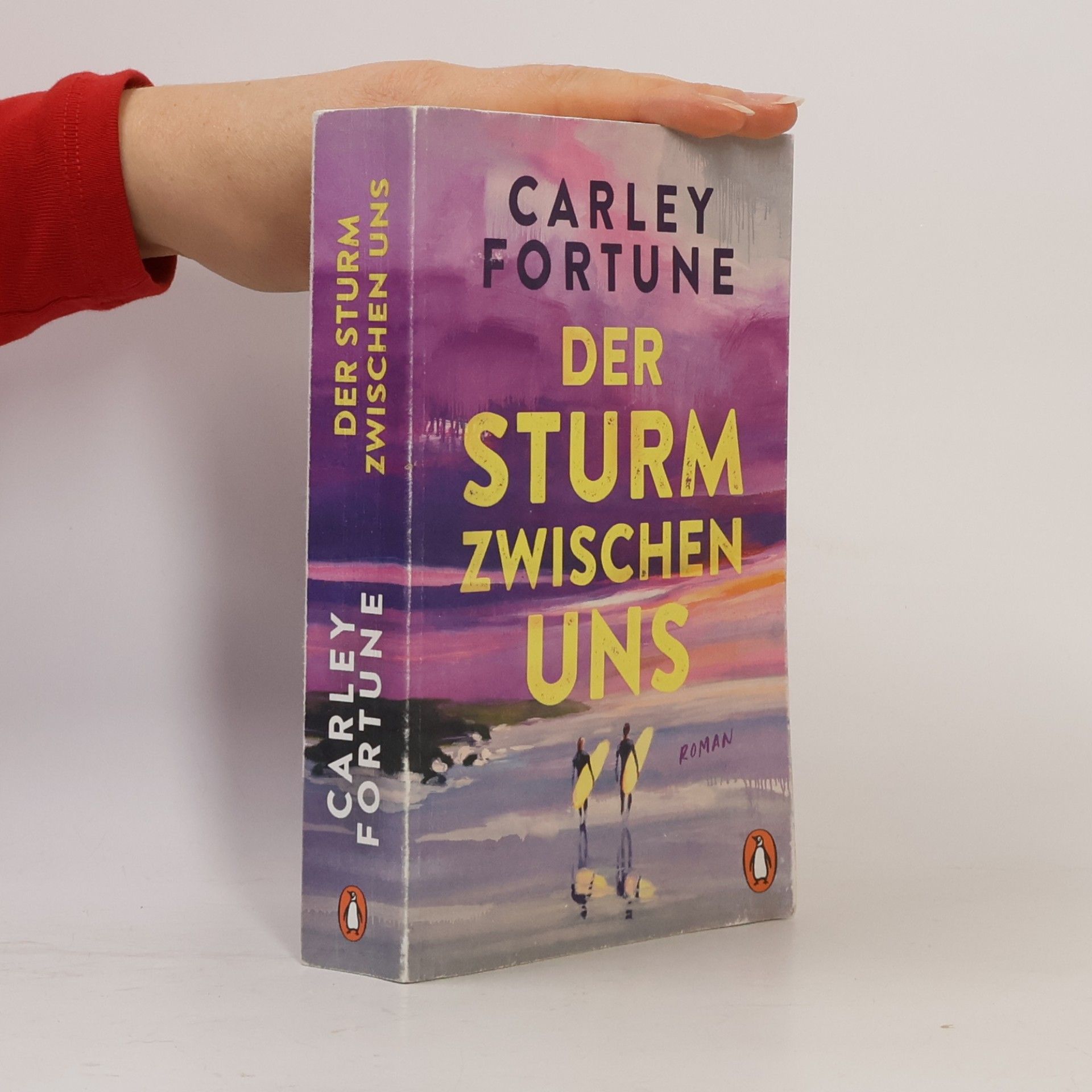 Carley Fortune Der Sturm zwischen uns