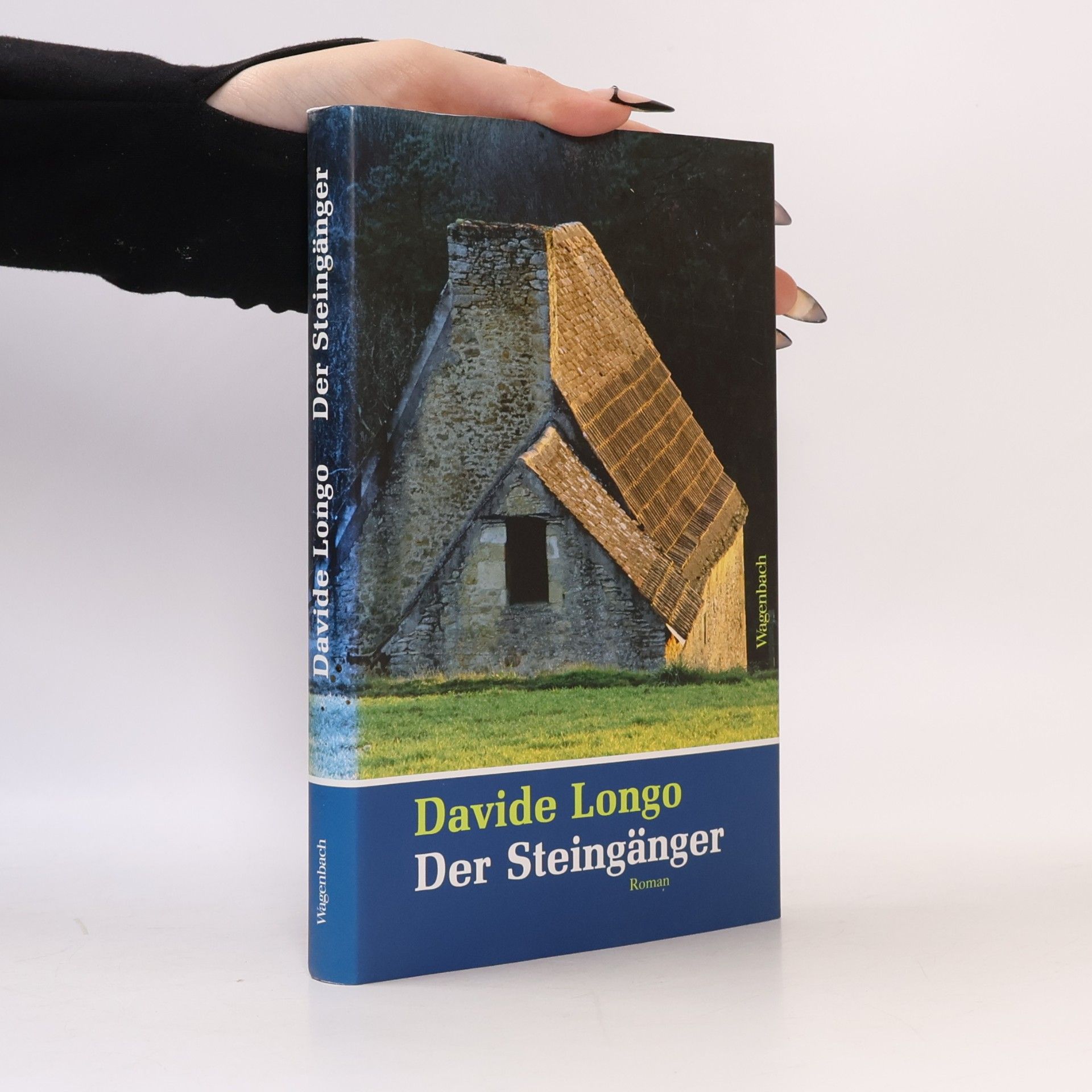 Davide Longo Der Steingänger
