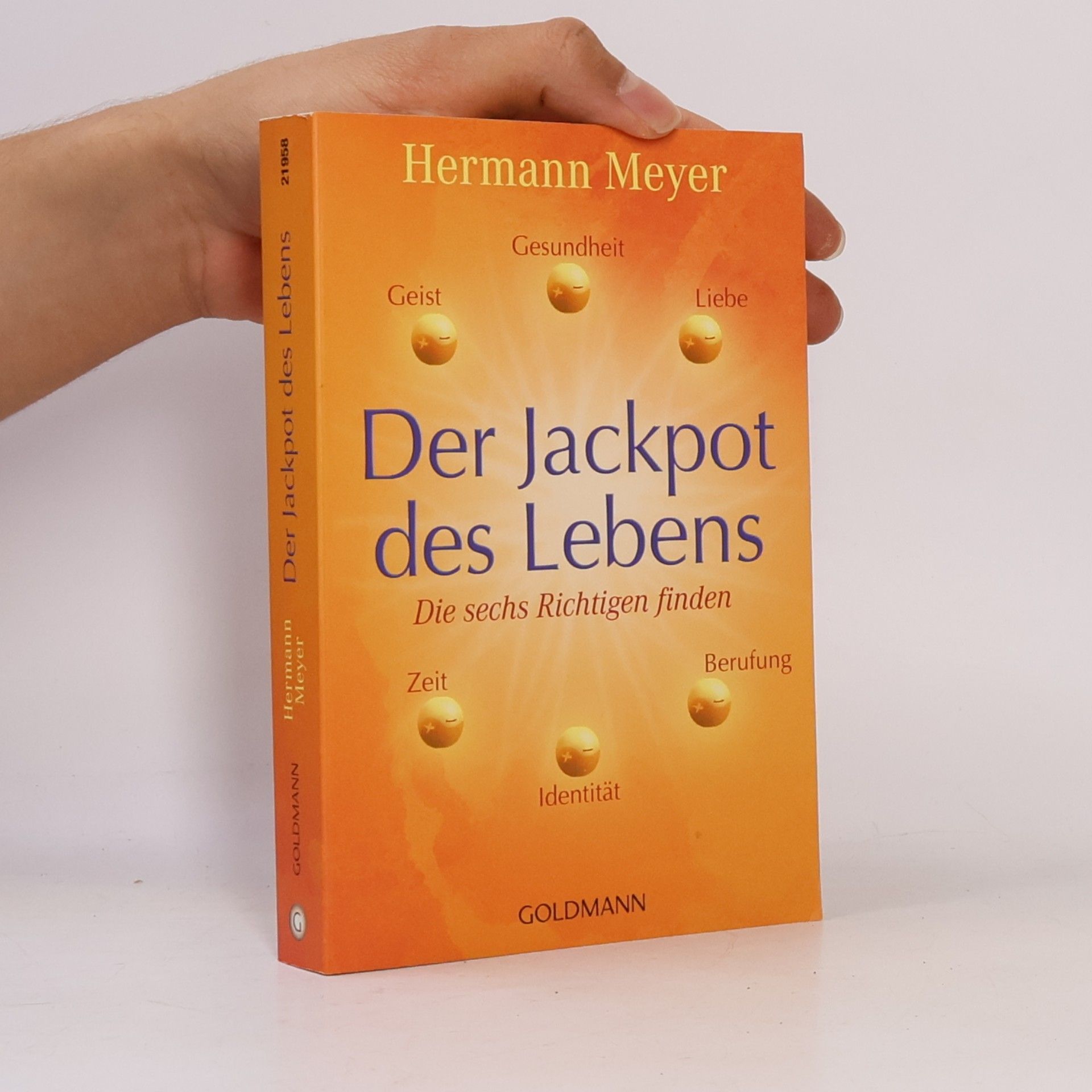 Herman Meyer Der Jackpot des Lebens